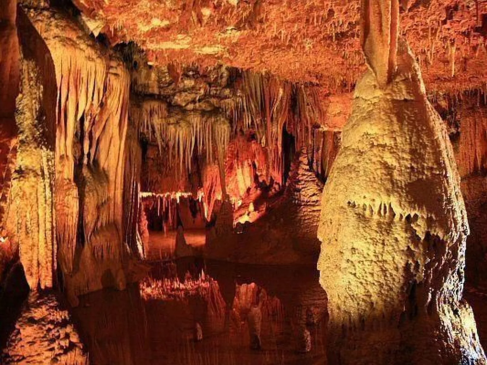 Apartments Vukalovic-Buiten