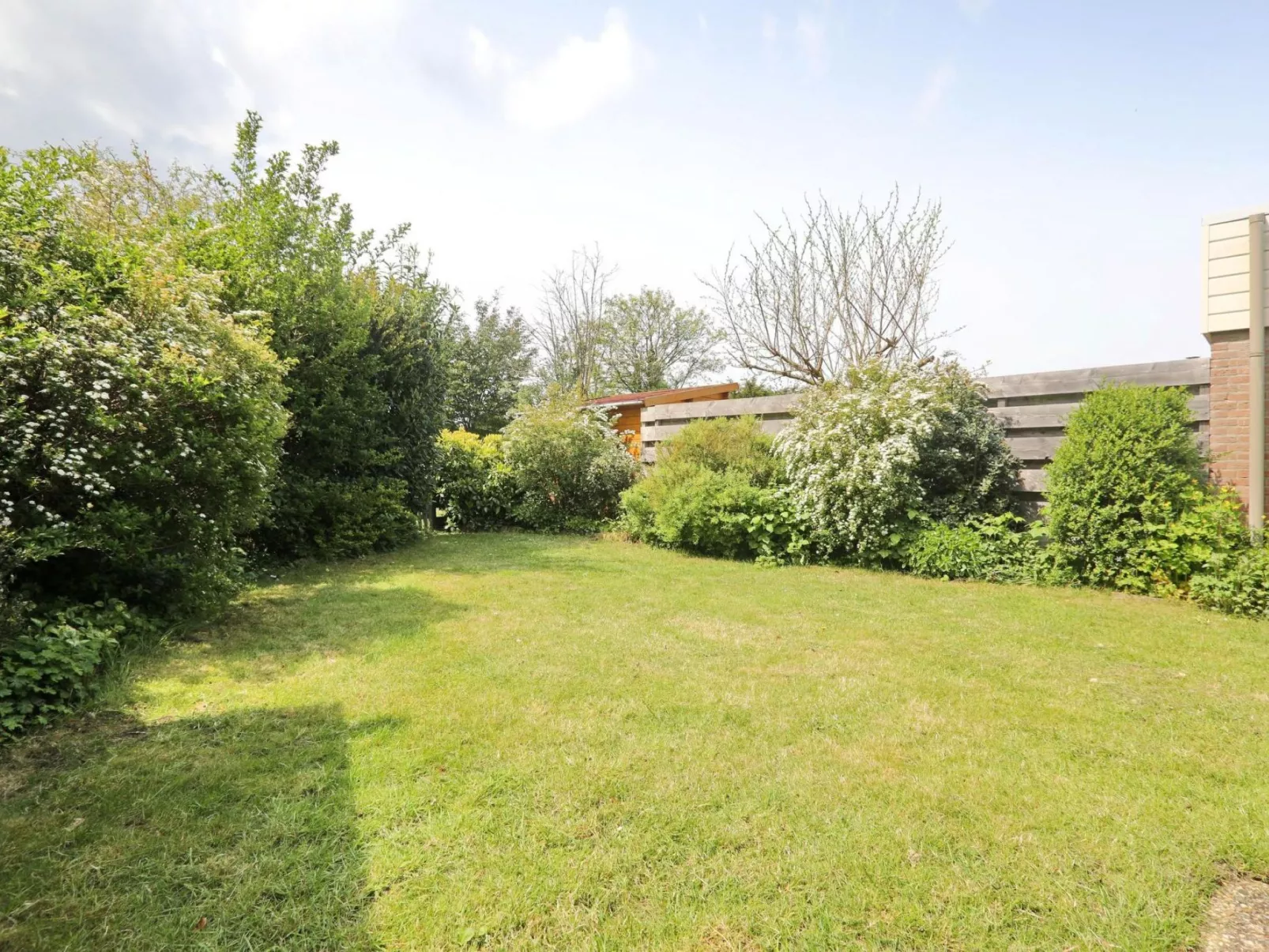 Hollandsche Tulp-Buiten