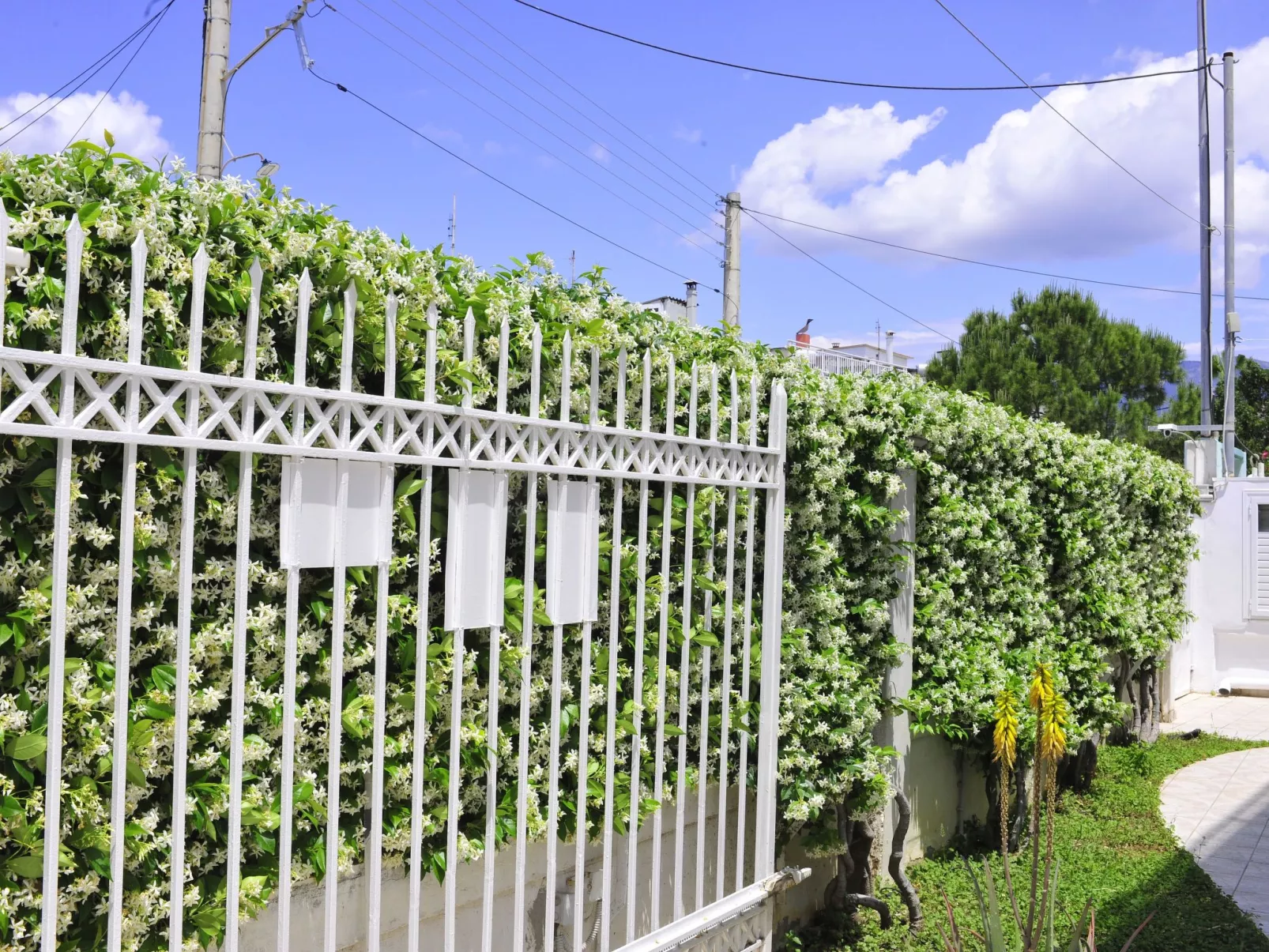 "Seaside Villa" in Strandnähe-Buiten