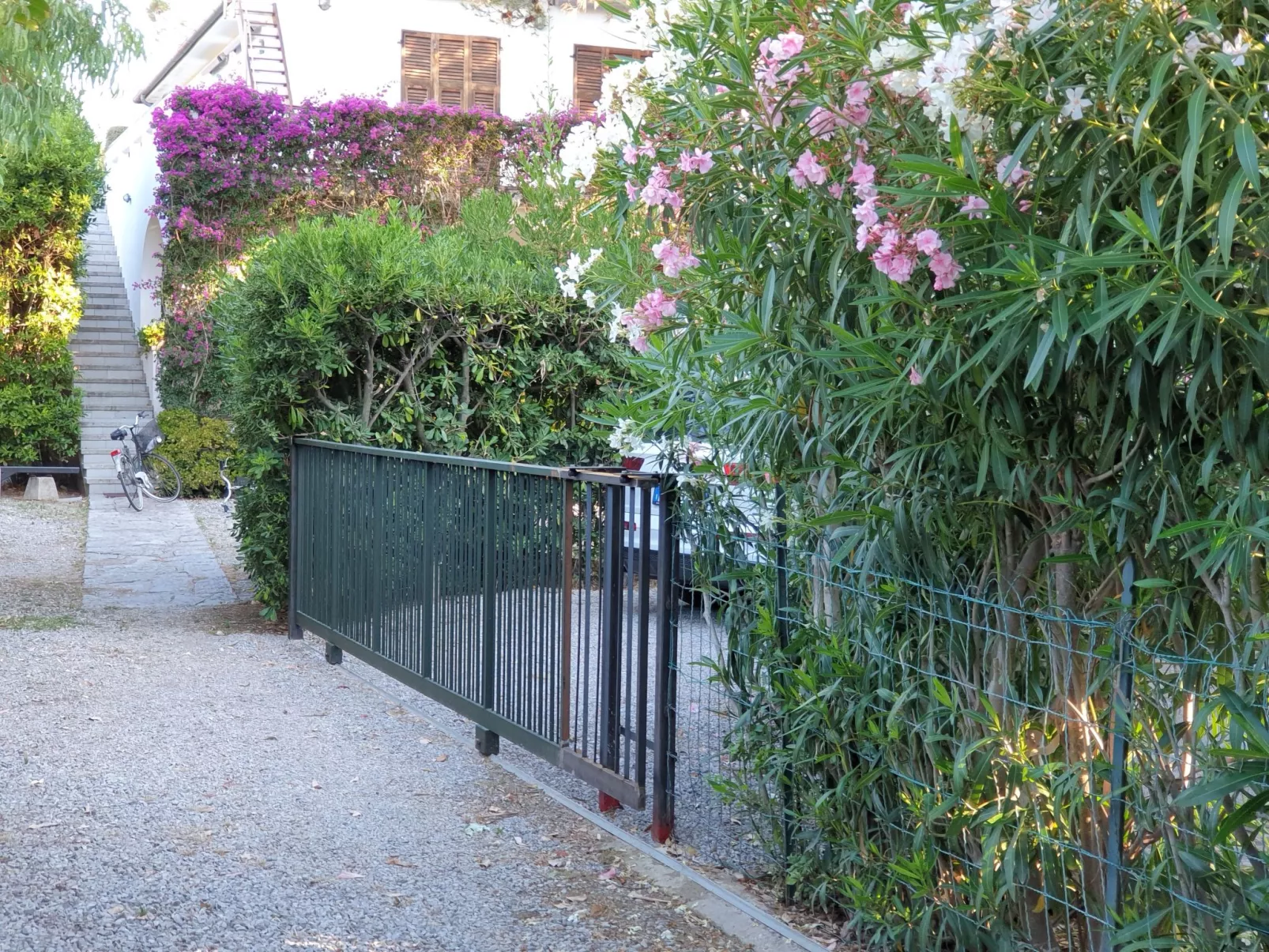 Direkt am Wasser-Image-tags.info