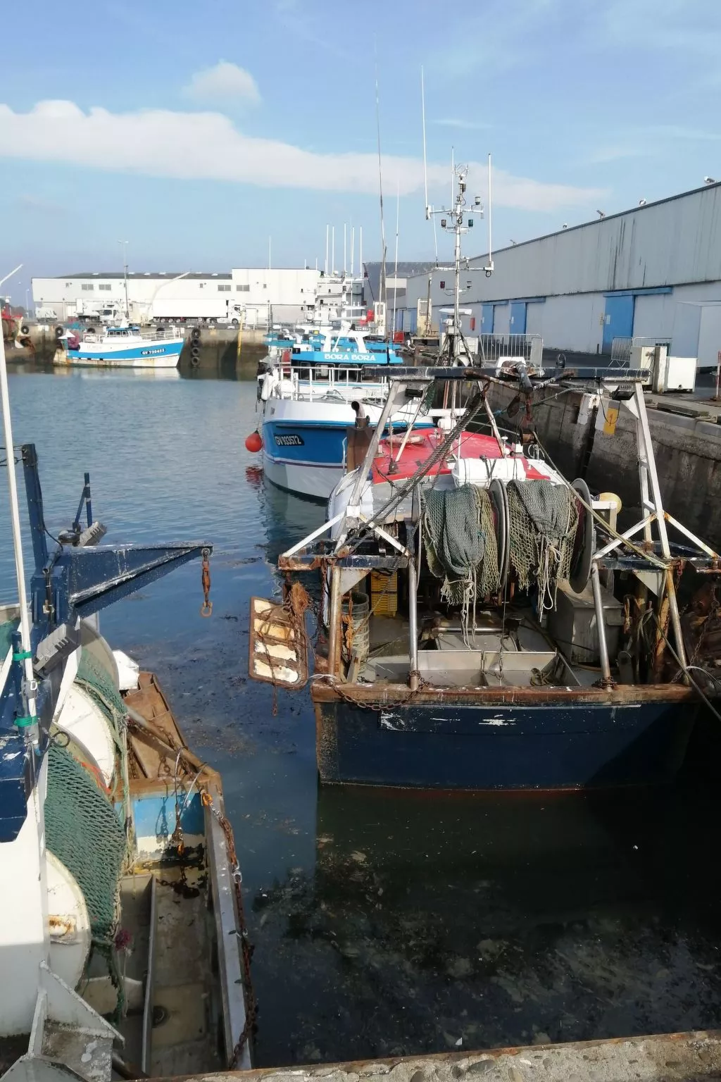 Bretagne Loctudy Haus Les Camélias 3 Personen-Buiten
