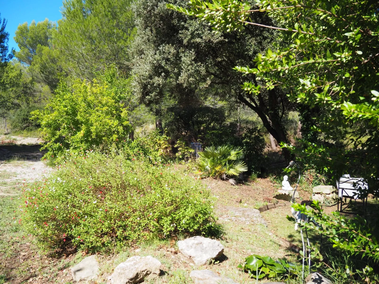 Provenzalisches Haus mit Pool und Garten-Buiten