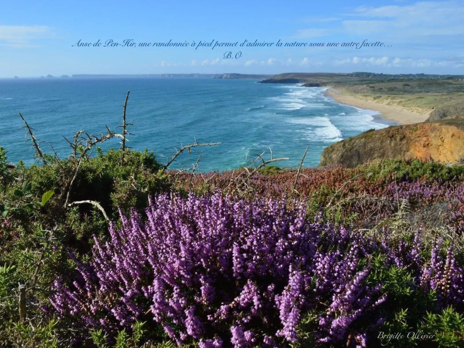 Ferienhaus-Image-tags.info