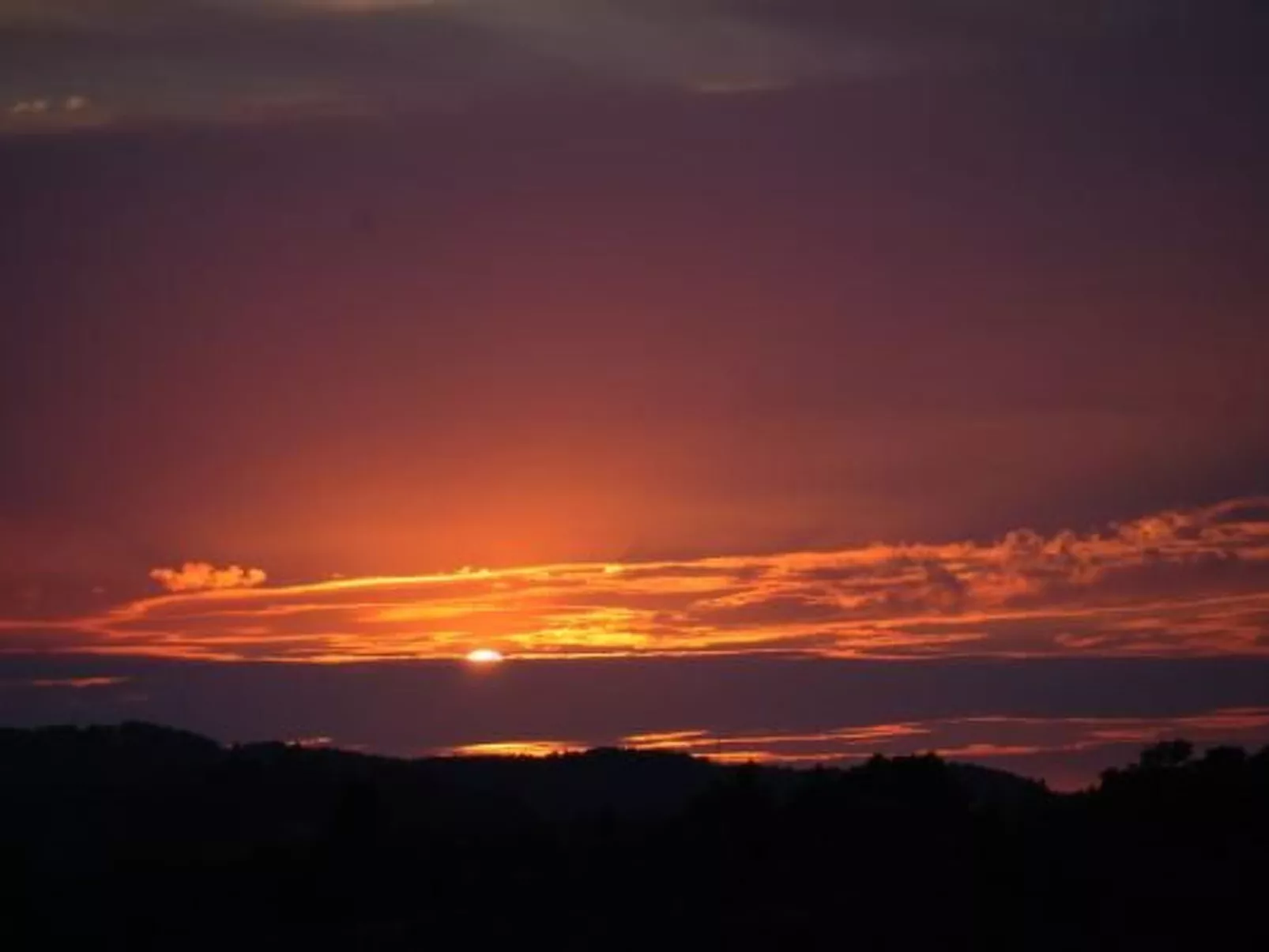 "Haus der Olivenbäume"-Image-tags.info