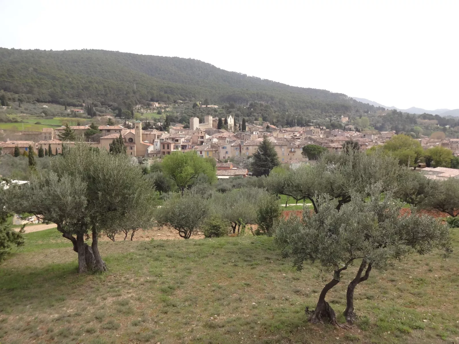 Le mas de l'Aven Unterkunft le mûrier-Buiten