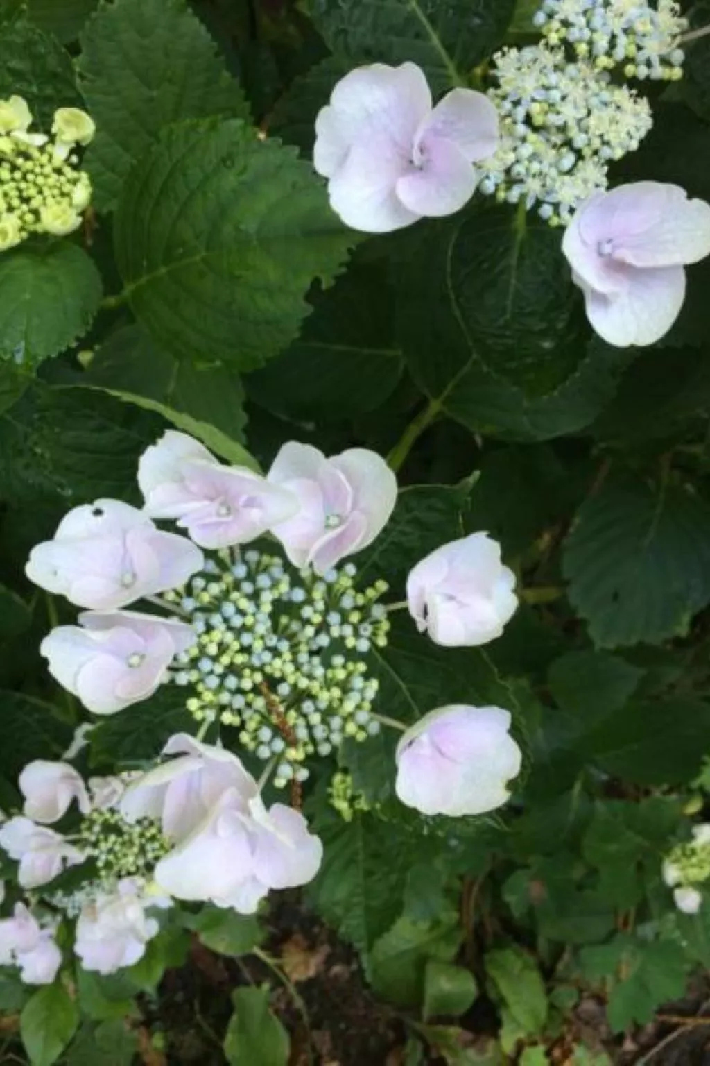 Weg von der Zuvielisation-Image-tags.info