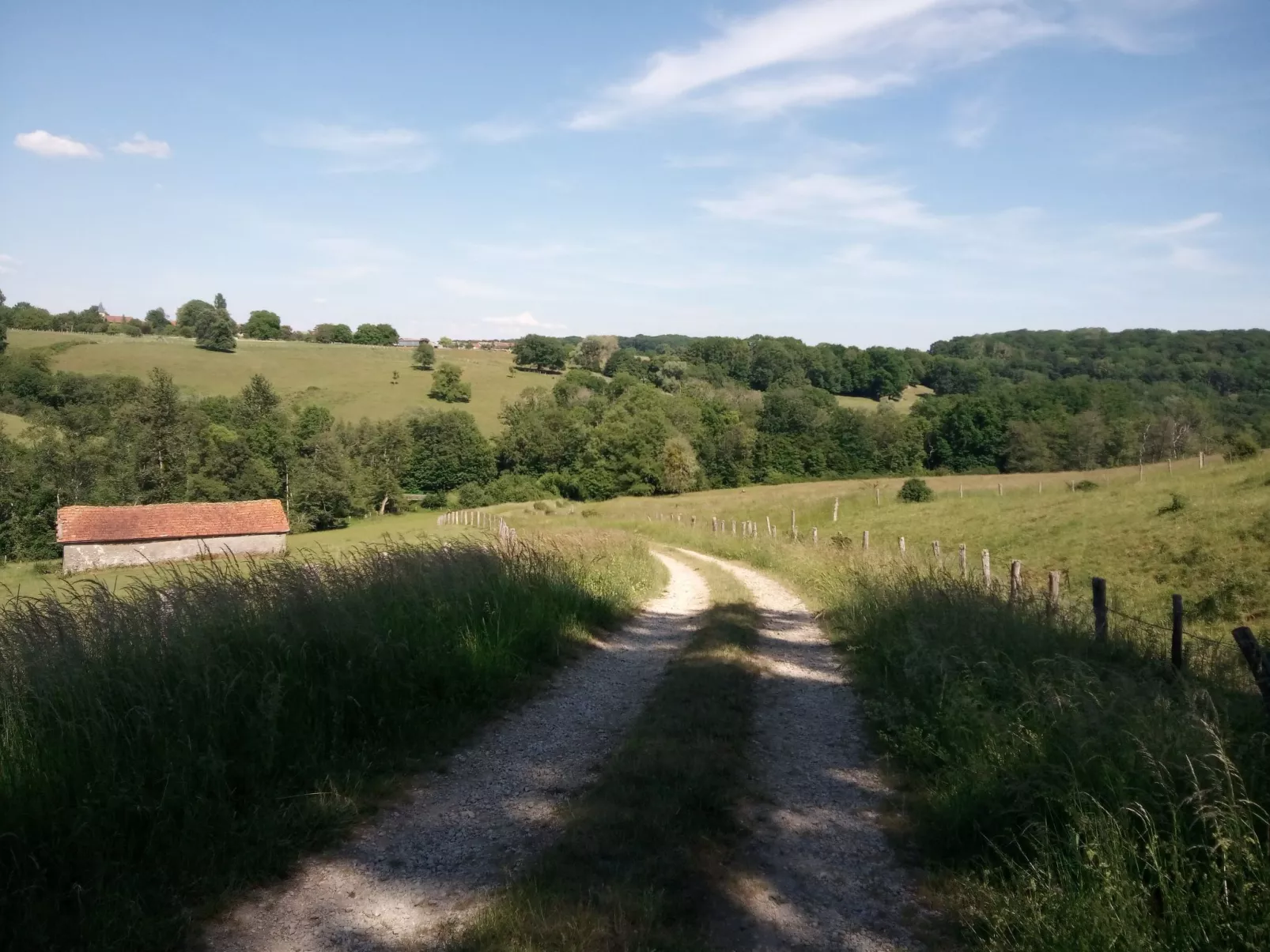 In Celles-En-Bassigny  umzäunter Garten-Buiten