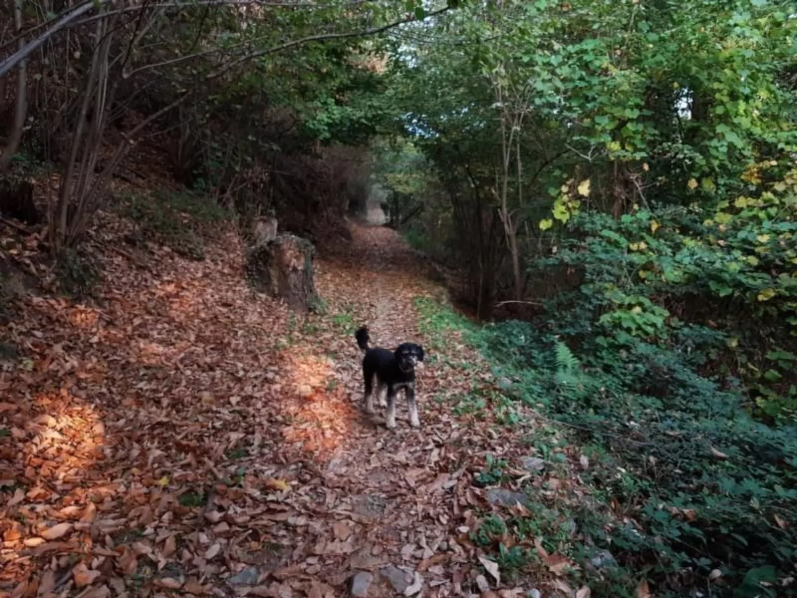 Casa Geissenstall-Buiten