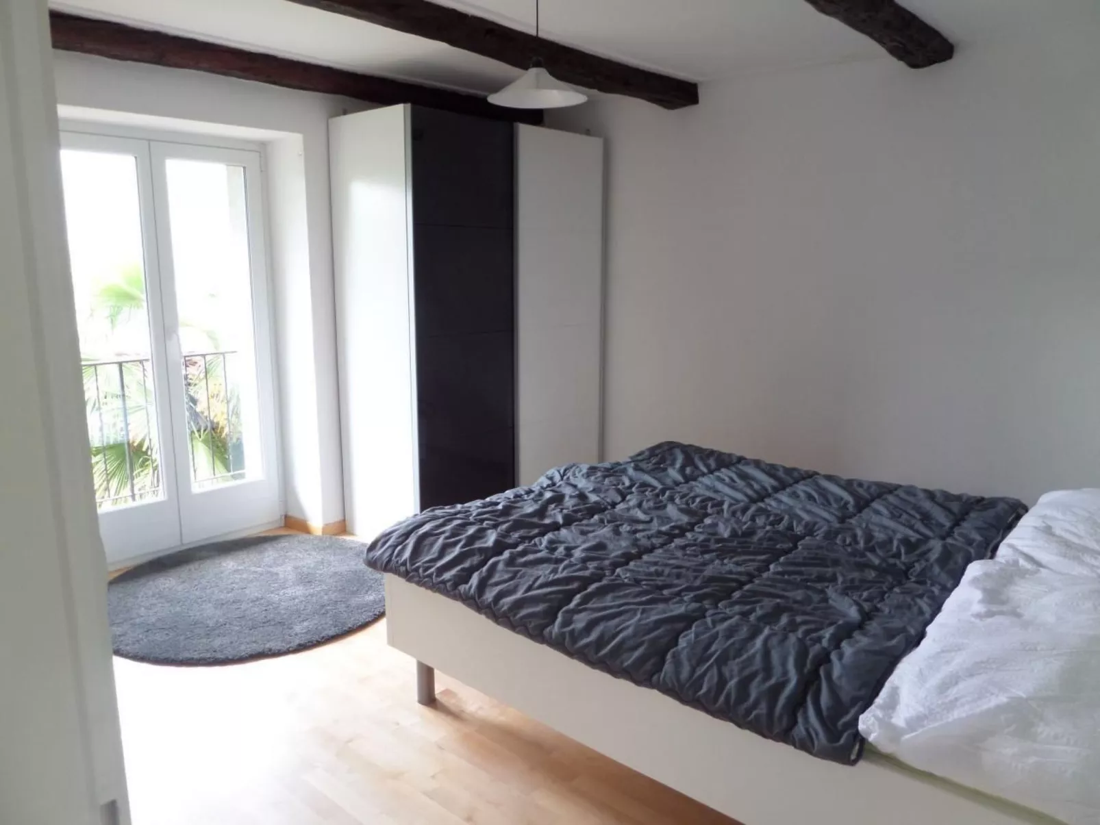 La Tortue - Image-tags.info