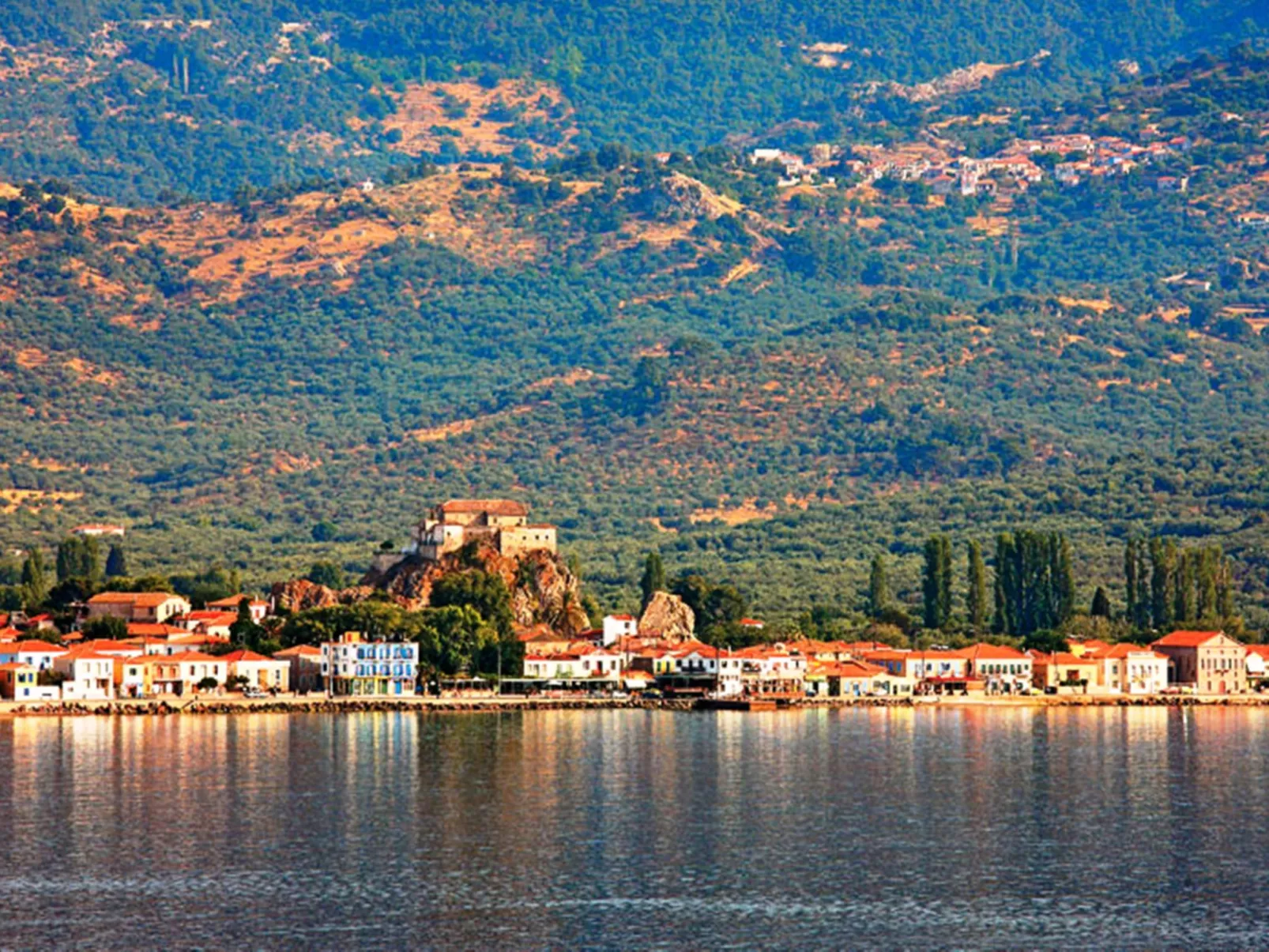 Gaea Gardens Studios-Buiten