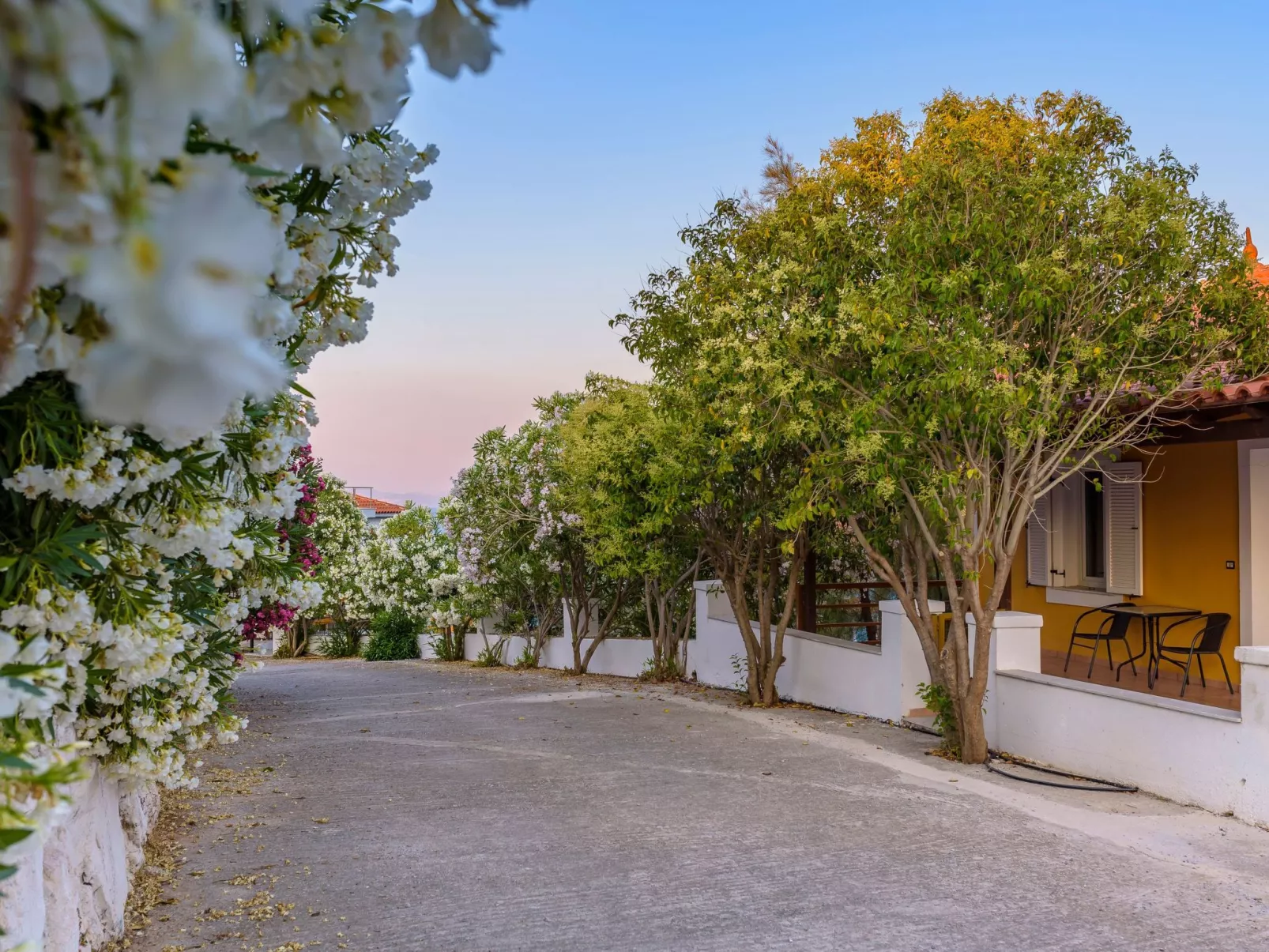"Yellow Villa"-Buiten