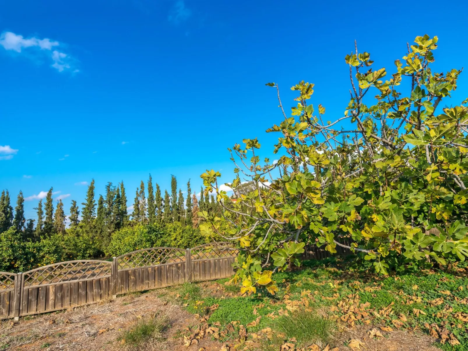 Ferienvilla auf einem privaten und sicheren Grundstück-Buiten