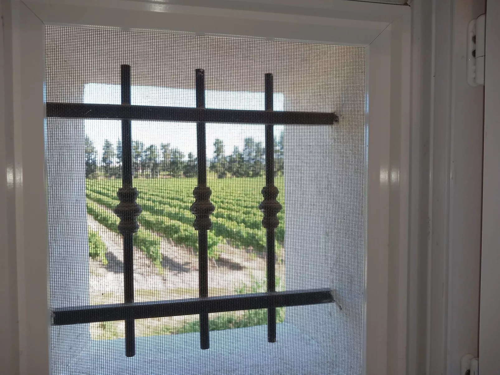 Charmantes Bauernhaus in der Provence-Binnen