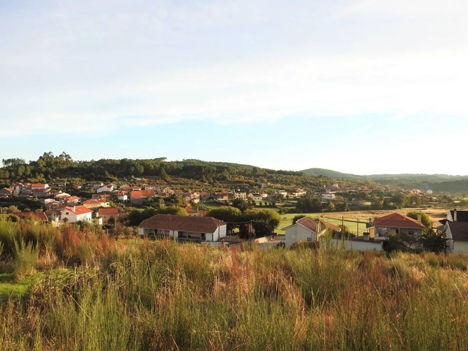Ferien auf dem Bauernhof mit Weinberg-Buiten