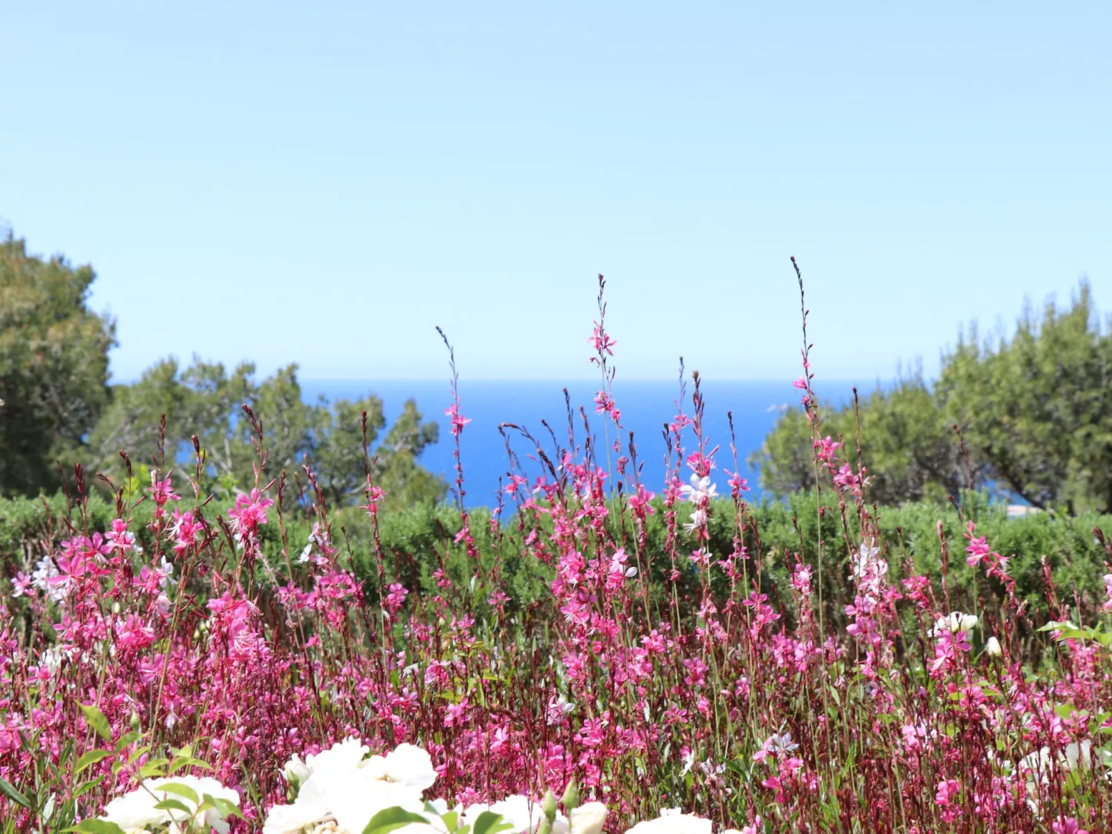 "Mesomax" mit Meerblick-Buiten