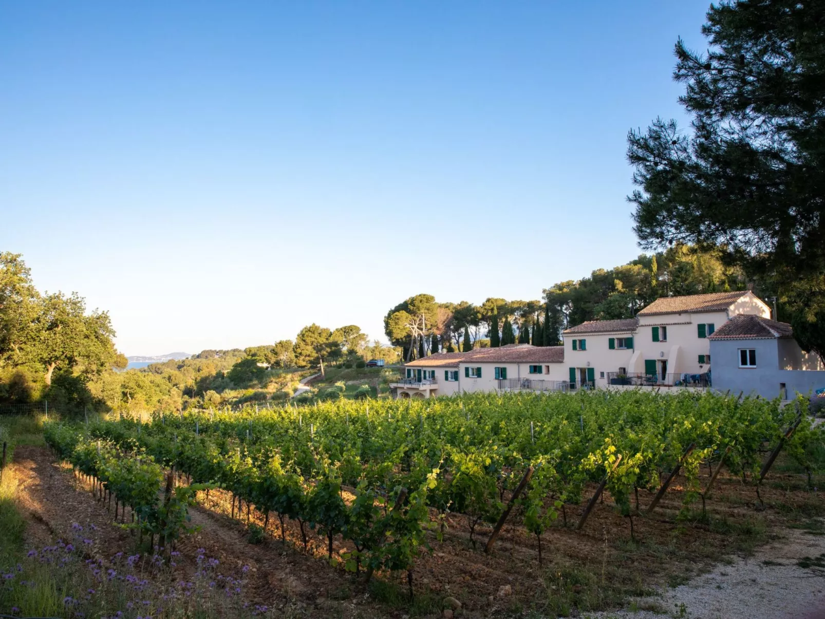 Gîte im Herzen der Weinberge, Terrasse mit atemberaubendem Blick auf das Meer, - Buiten
