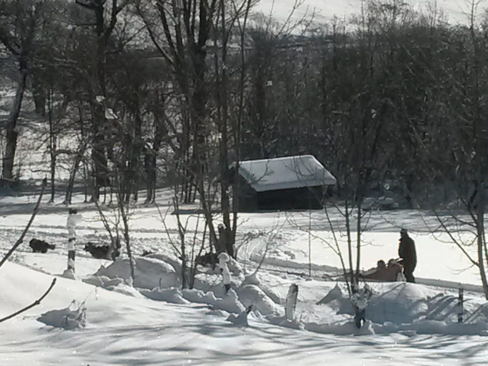 Wohnung in Chalet-Buiten