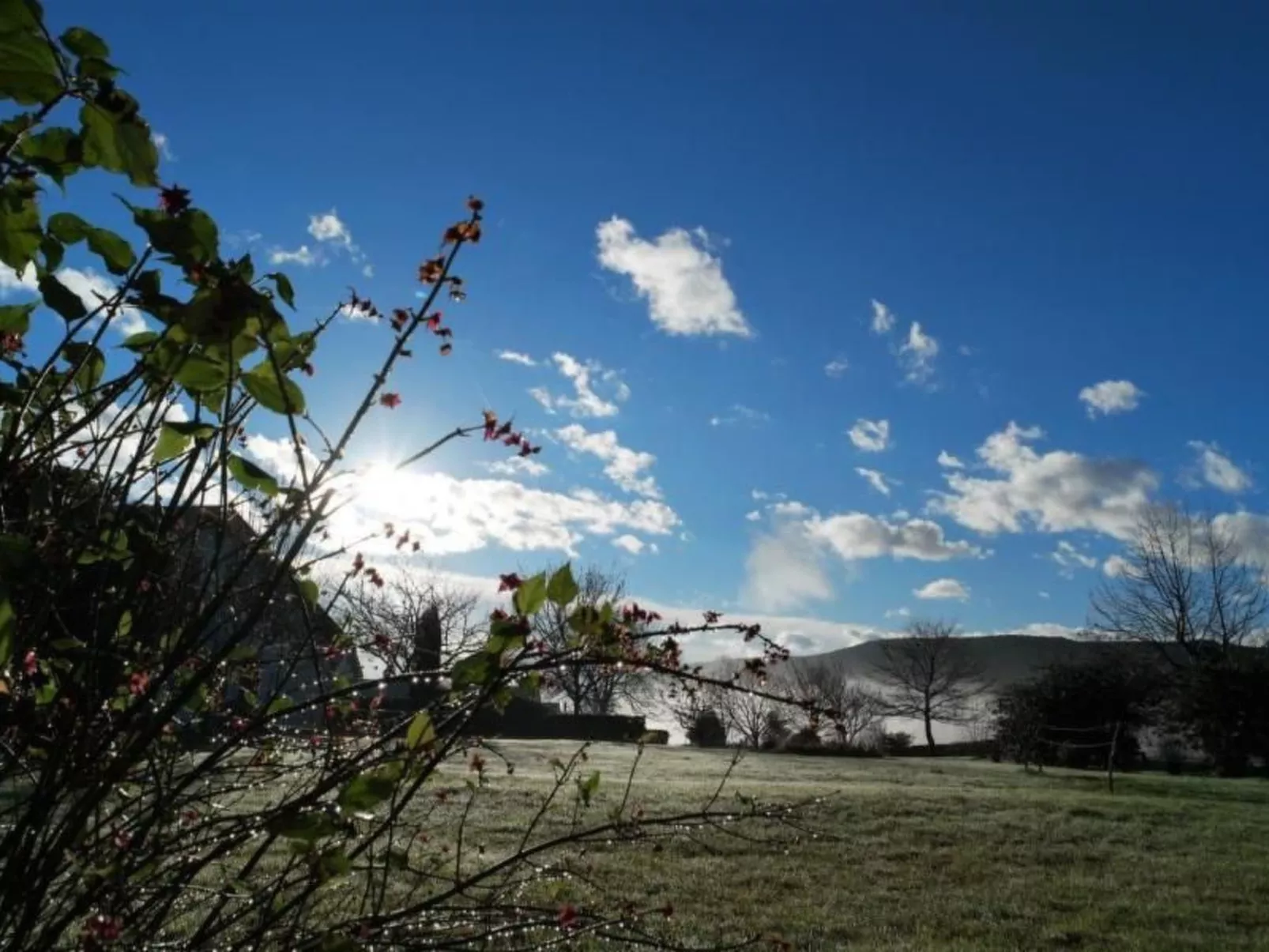 ARTZAMENDI-Image-tags.info