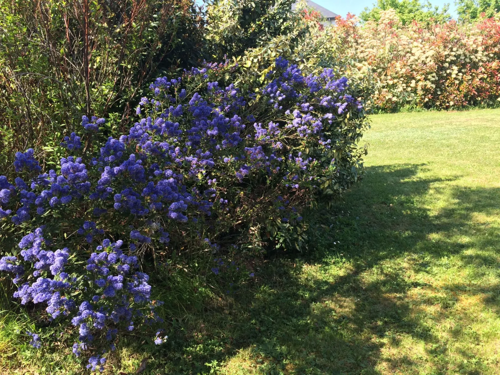 Landhaus La Villa Bolero-Image-tags.info