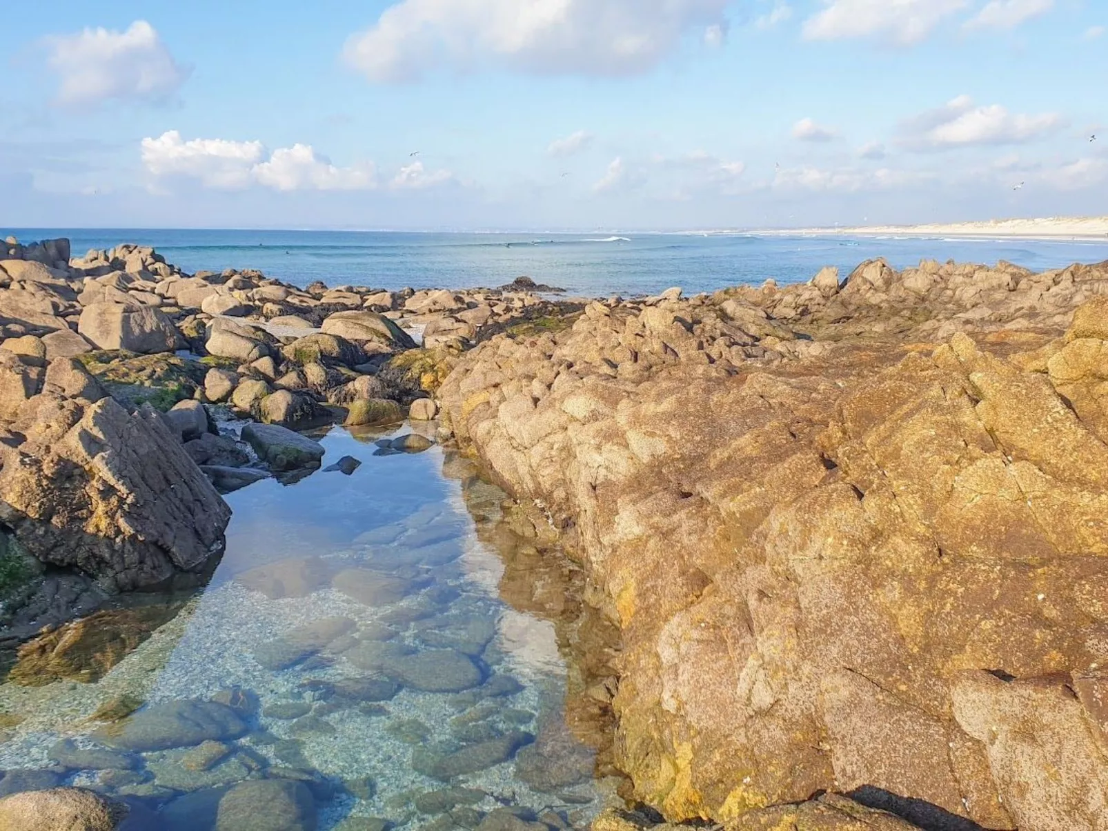 Ferienhaus Ty Nina Rosa, haustiere erlaubt-Buiten