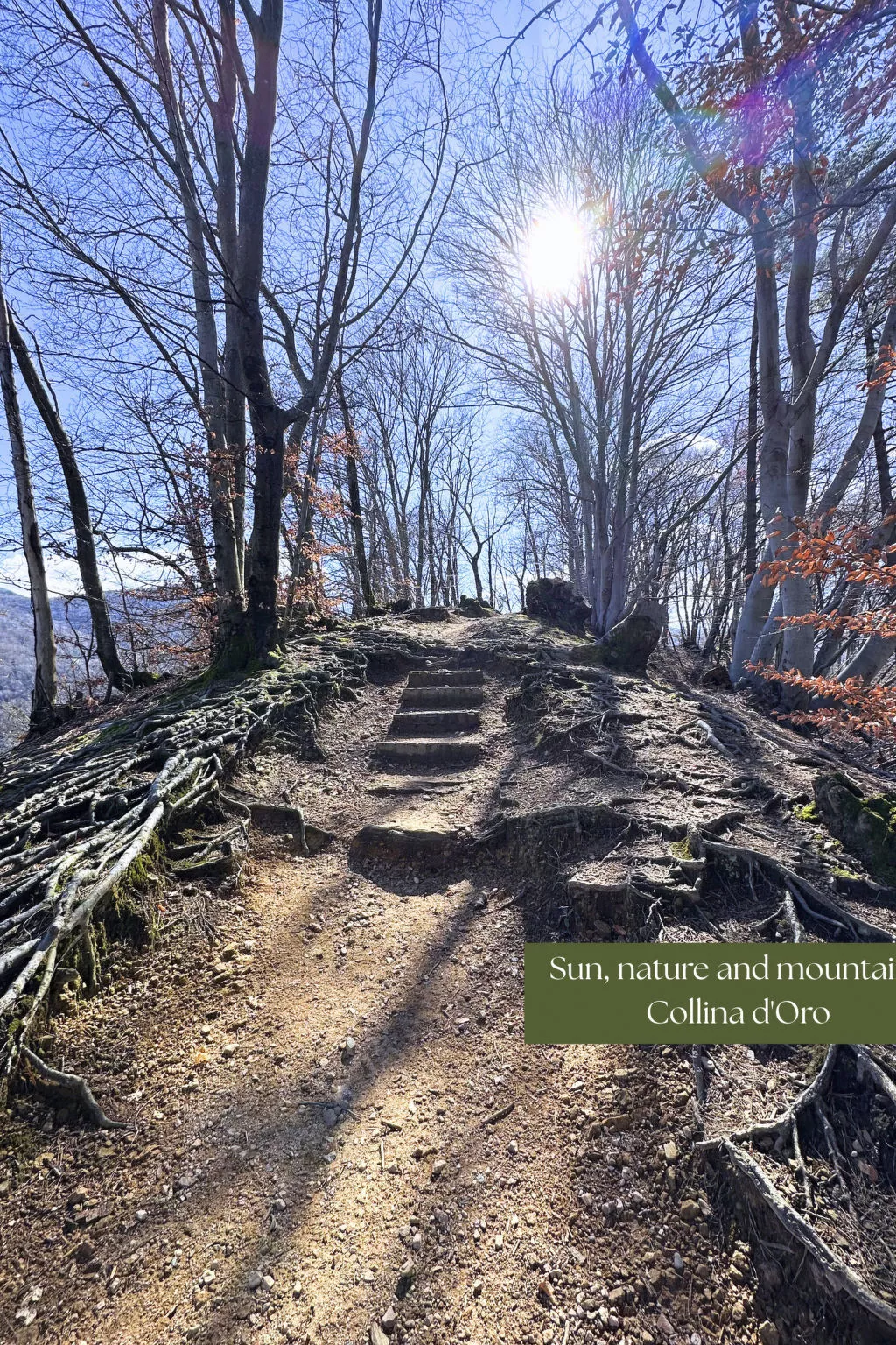 Appartamento vacanze "Luxus-Wohnung"-Buiten