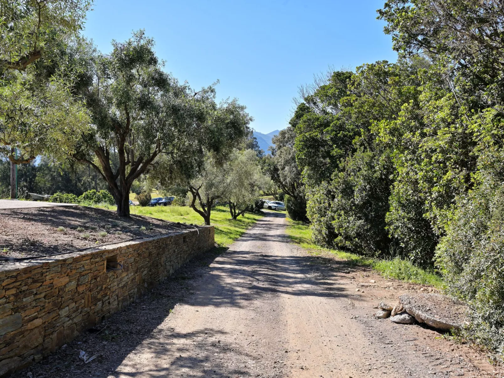 Weingut Punta della guardia zwischen Meer und Gebirge-Buiten