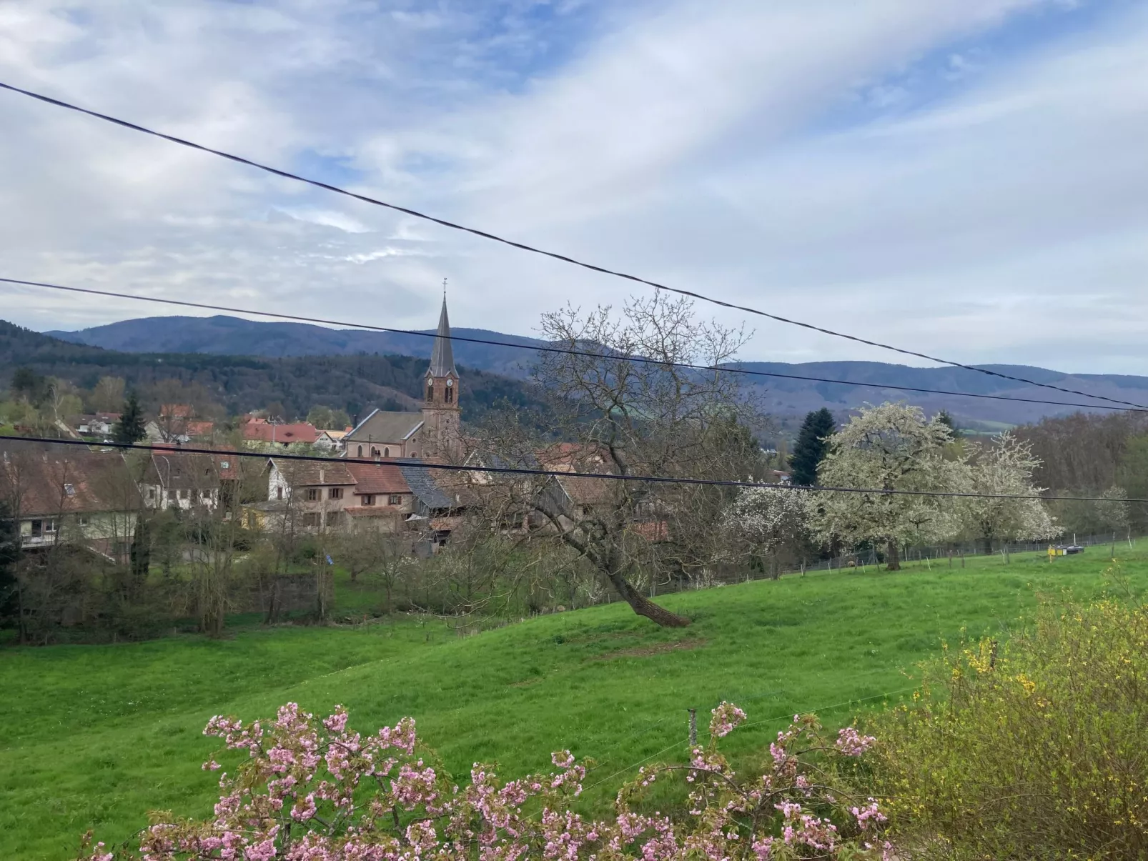 Peaceful Escape-Buiten