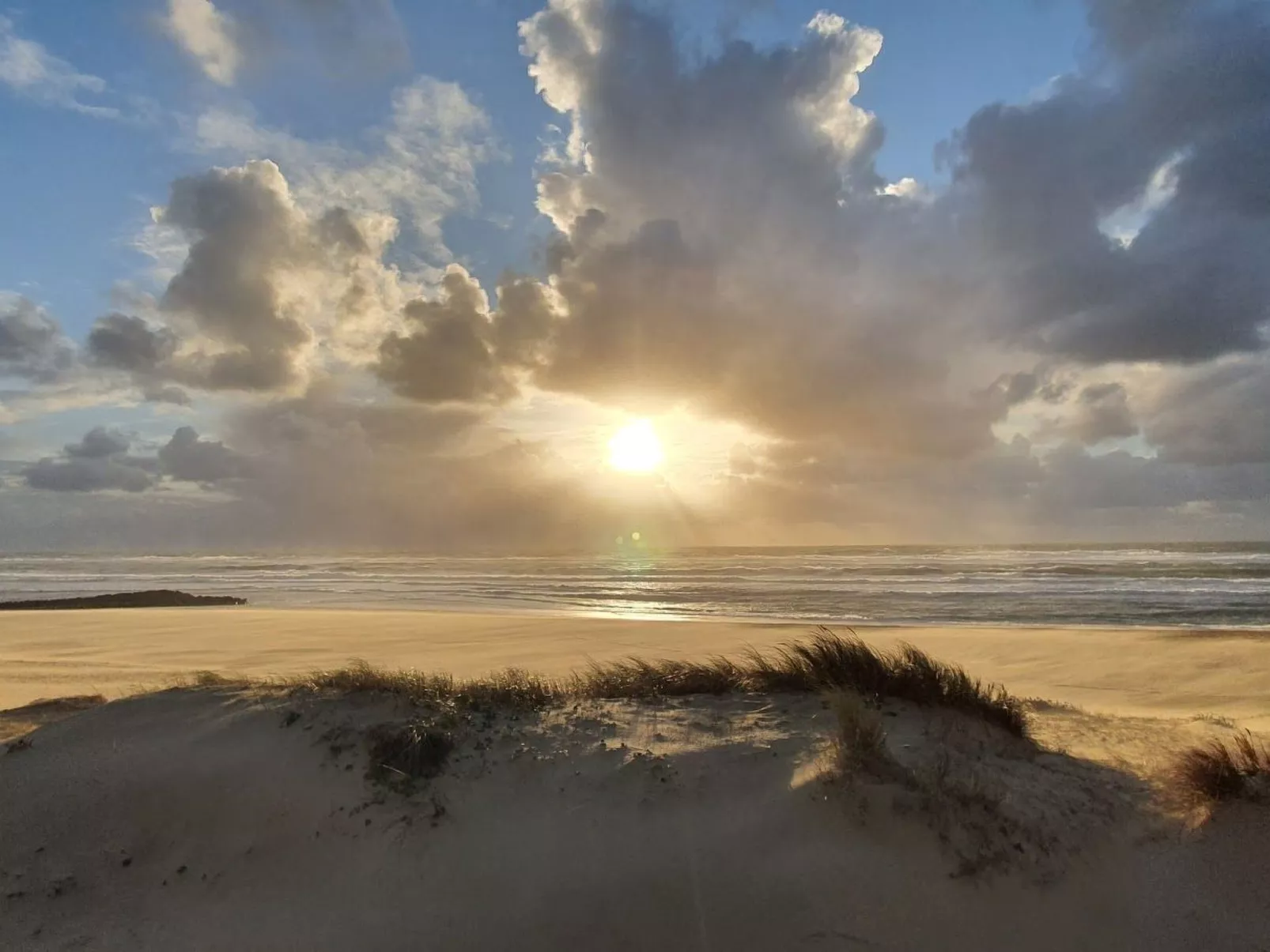 Villa Cocoon Contis-plage 1 chambre-Image-tags.info