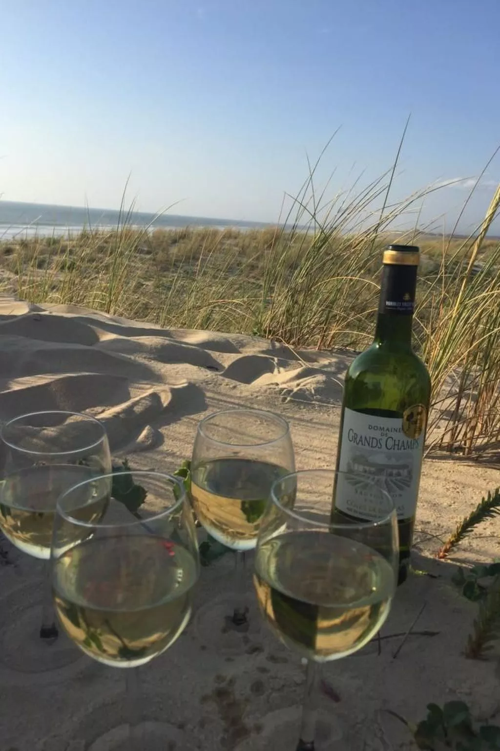 La Maison Pinède-Buiten