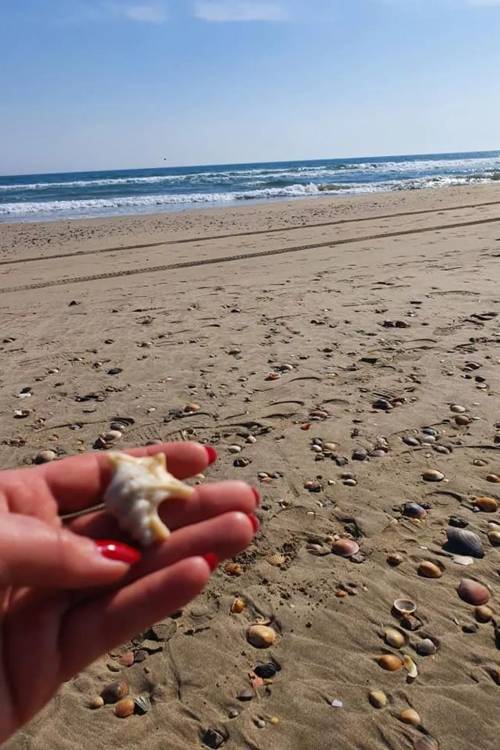 Mobilheim in idealer Lage in der Nähe aller Annehmlichkeiten-Buiten