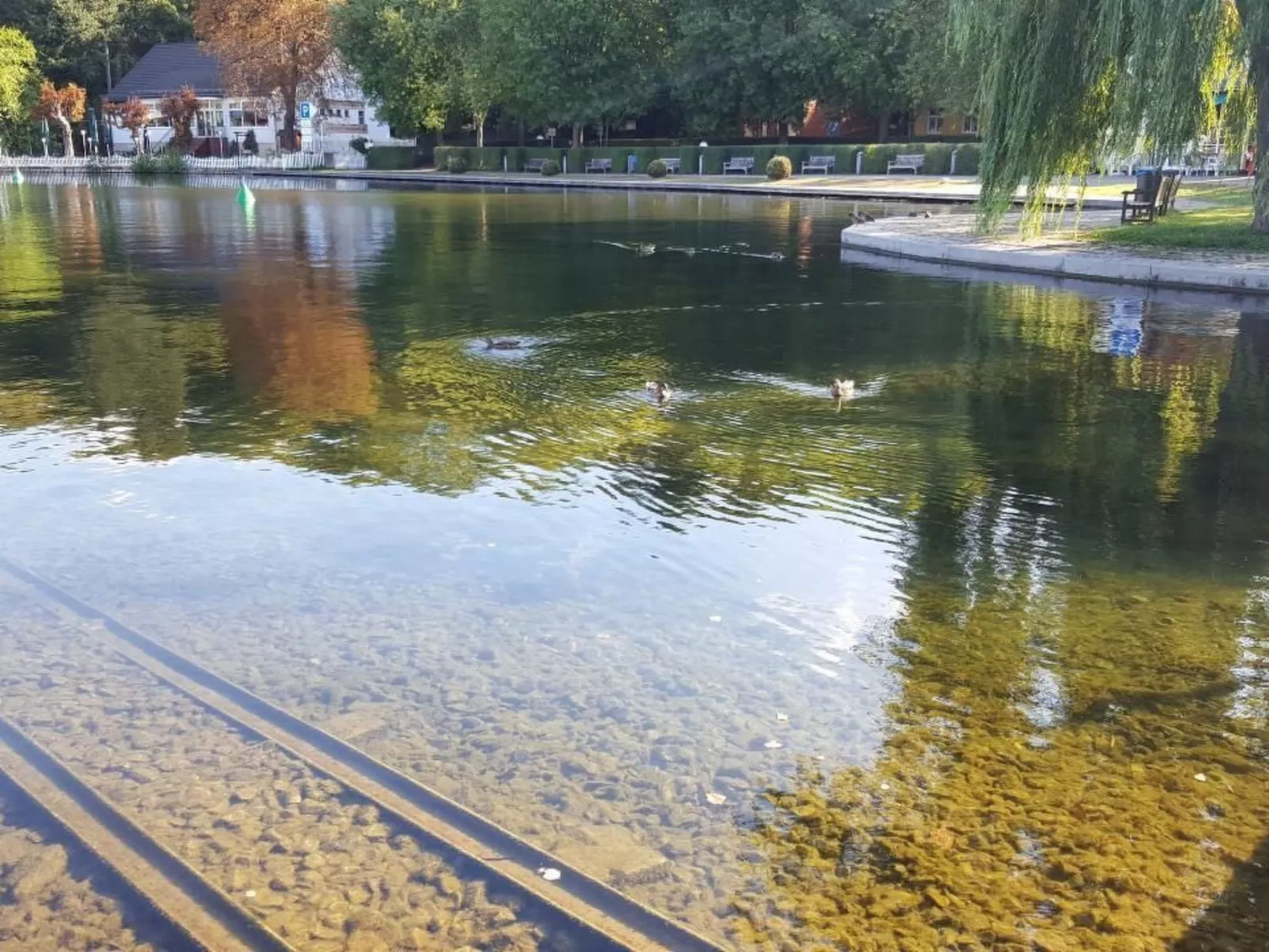 Bandow-Image-tags.info