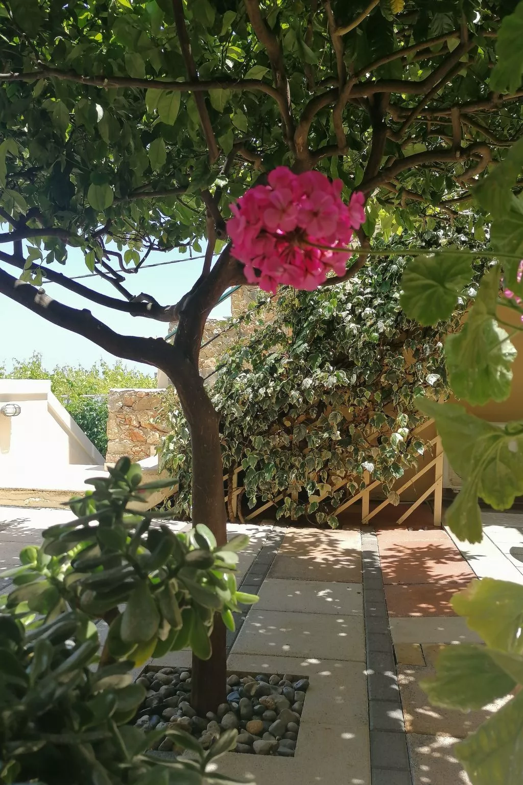 Wohnung "Zitronenbaum-Terrasse"-Buiten