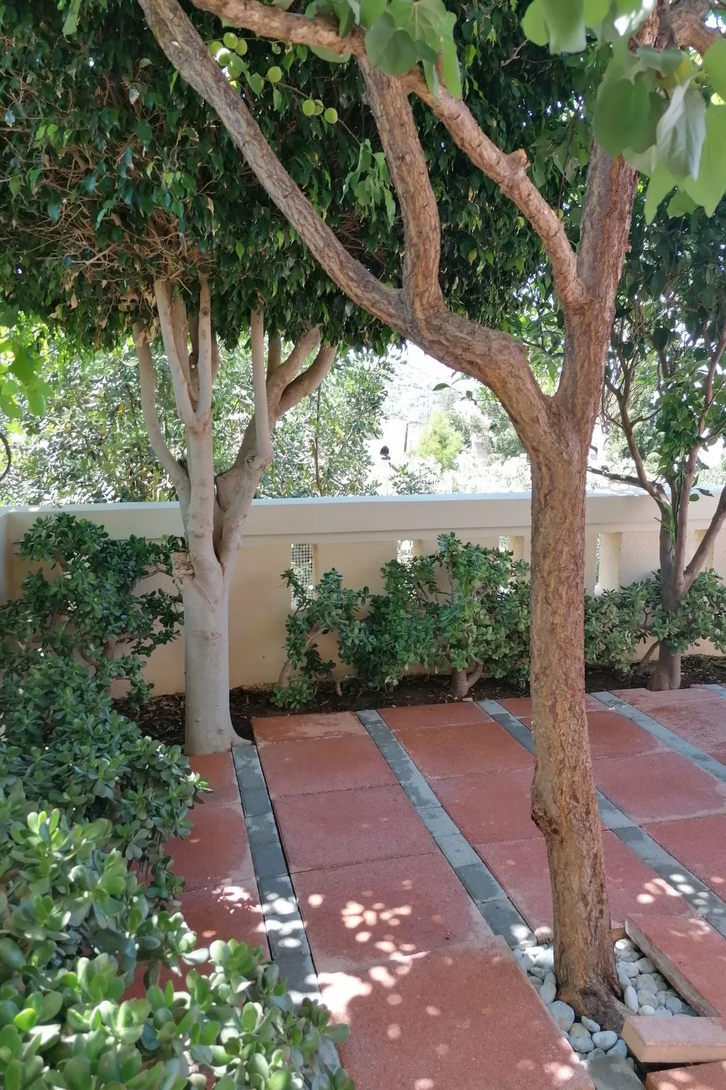 Wohnung "Terrasse am Pool"-Buiten