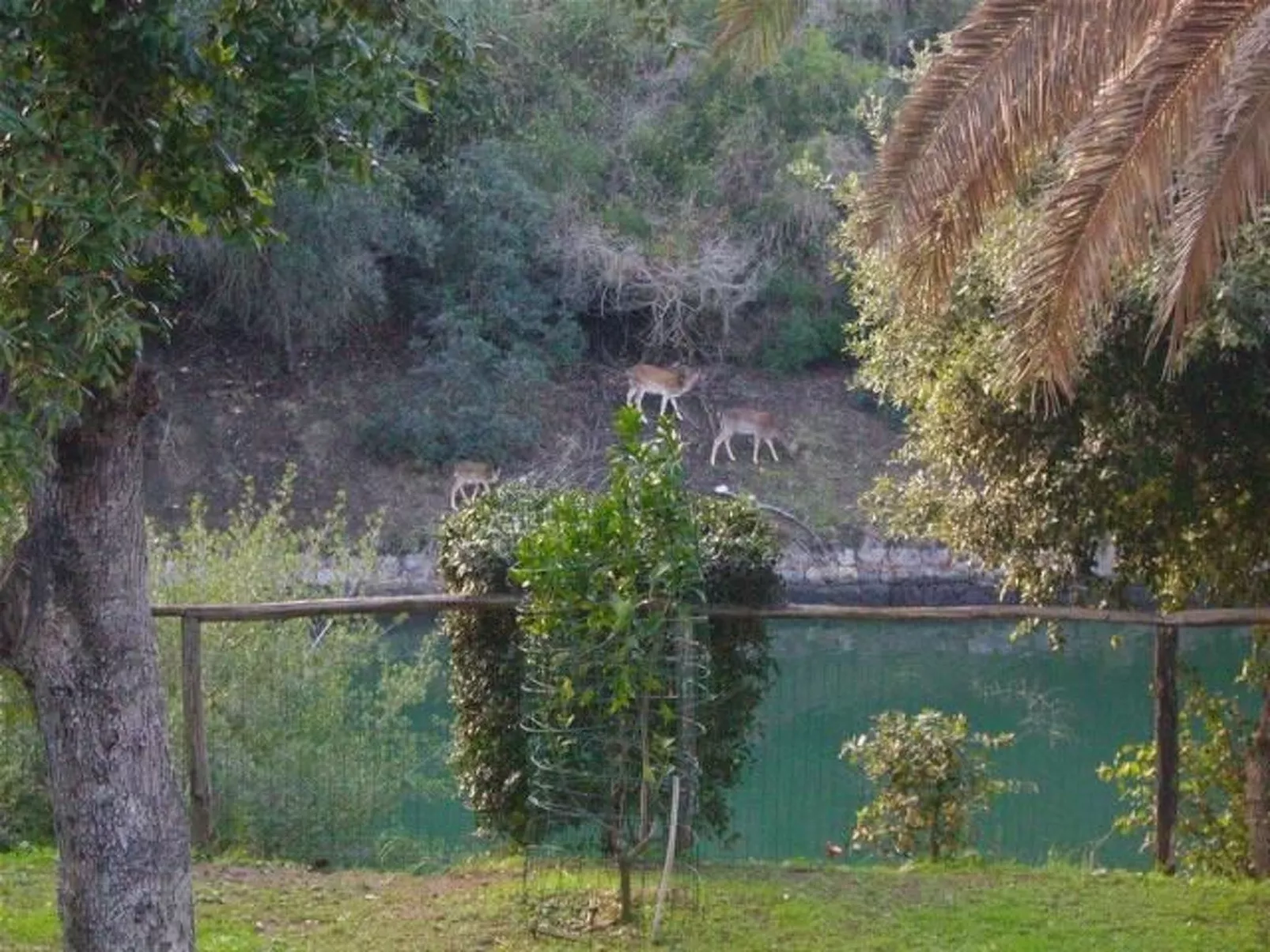 Villa Paradisino Zwei-Zimmer-Wohnung Orbetello Beach-Buiten