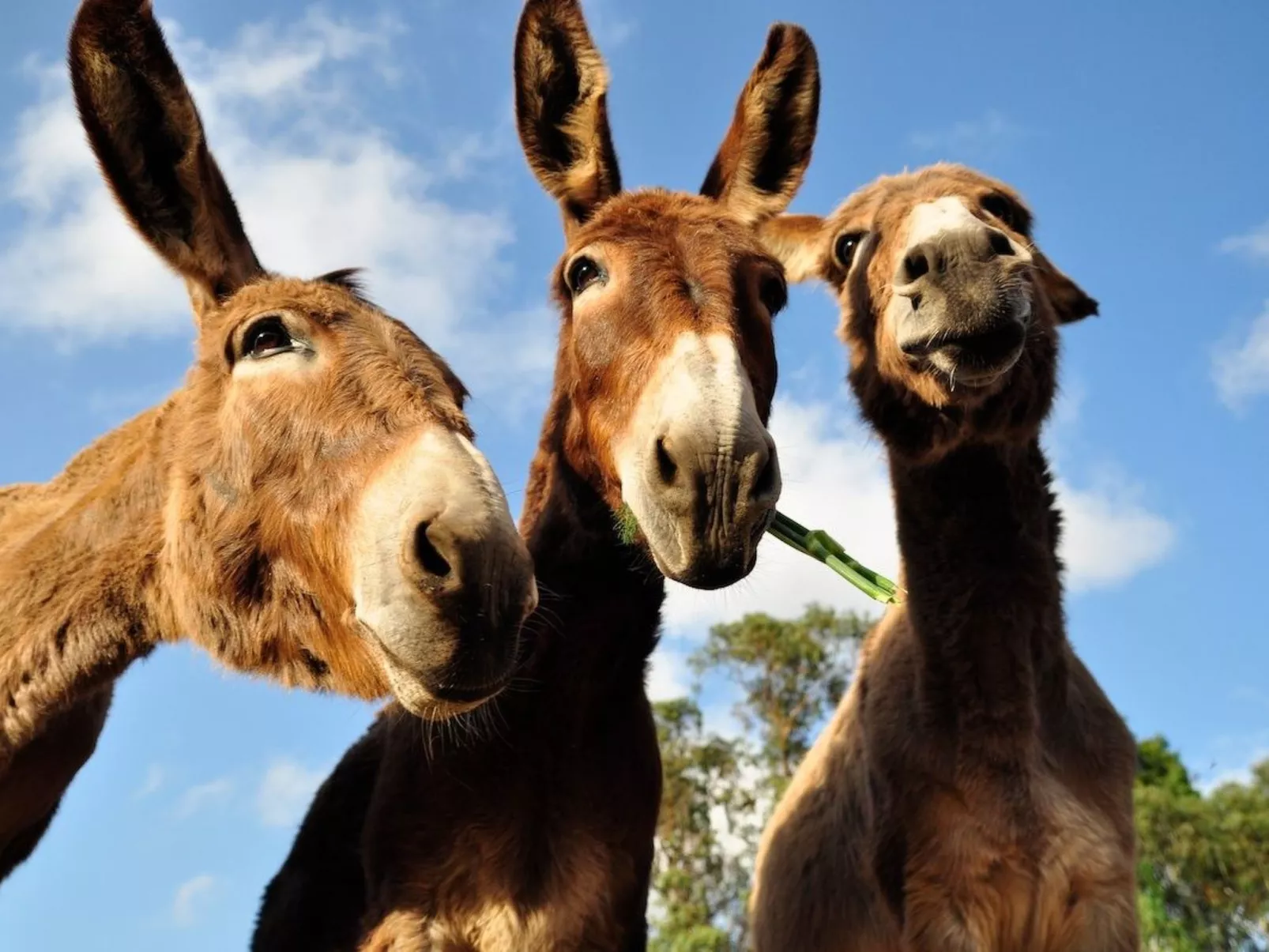 "The Recycle Art" mit Terrasse-Image-tags.info