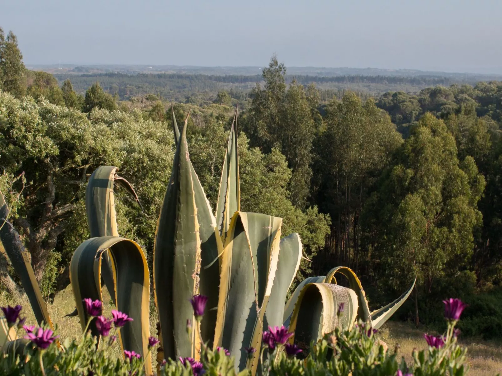 Monte Horizonte Casa Passaro Öko und Natur-Image-tags.info