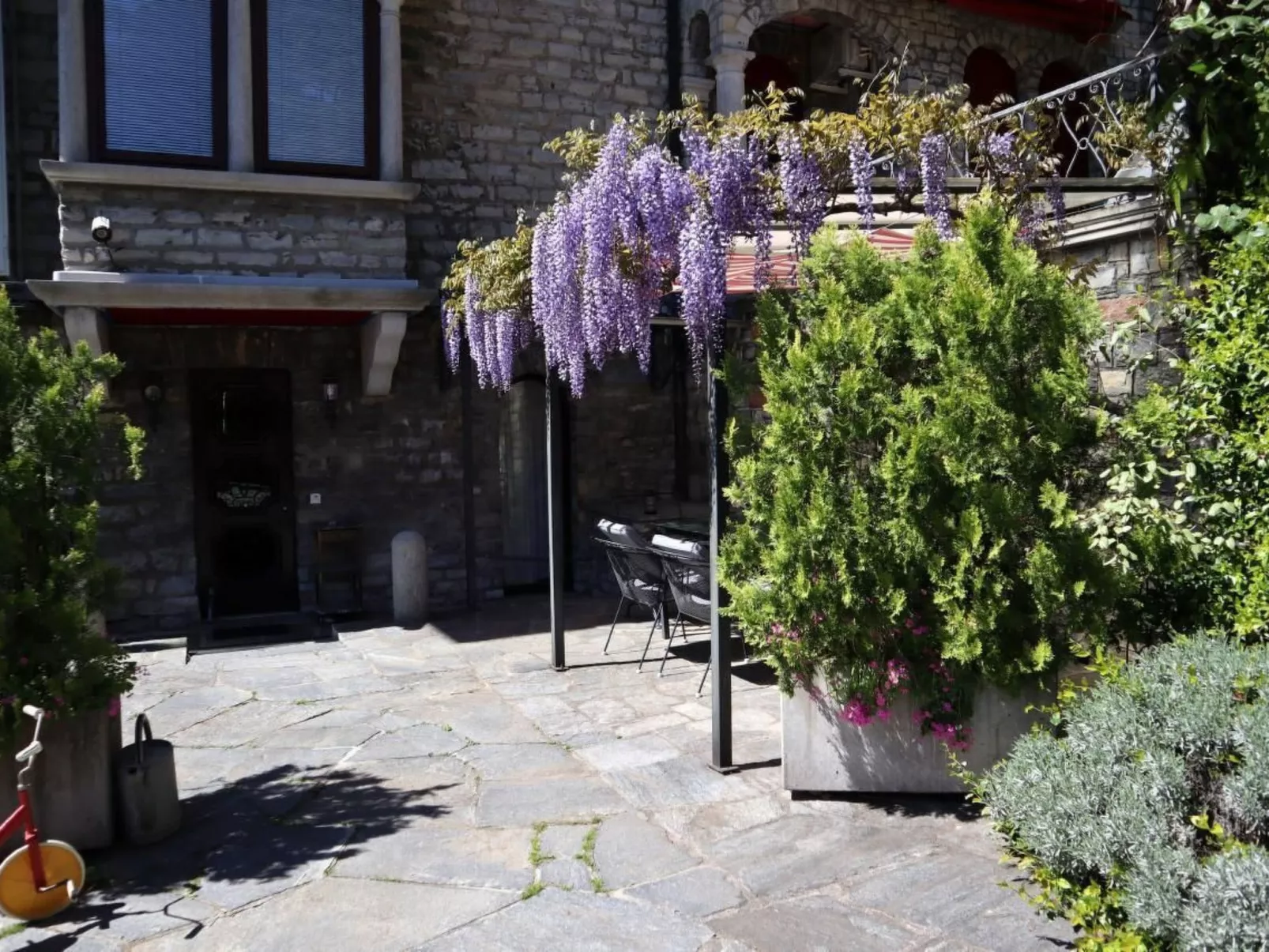 Lavendel-Image-tags.info