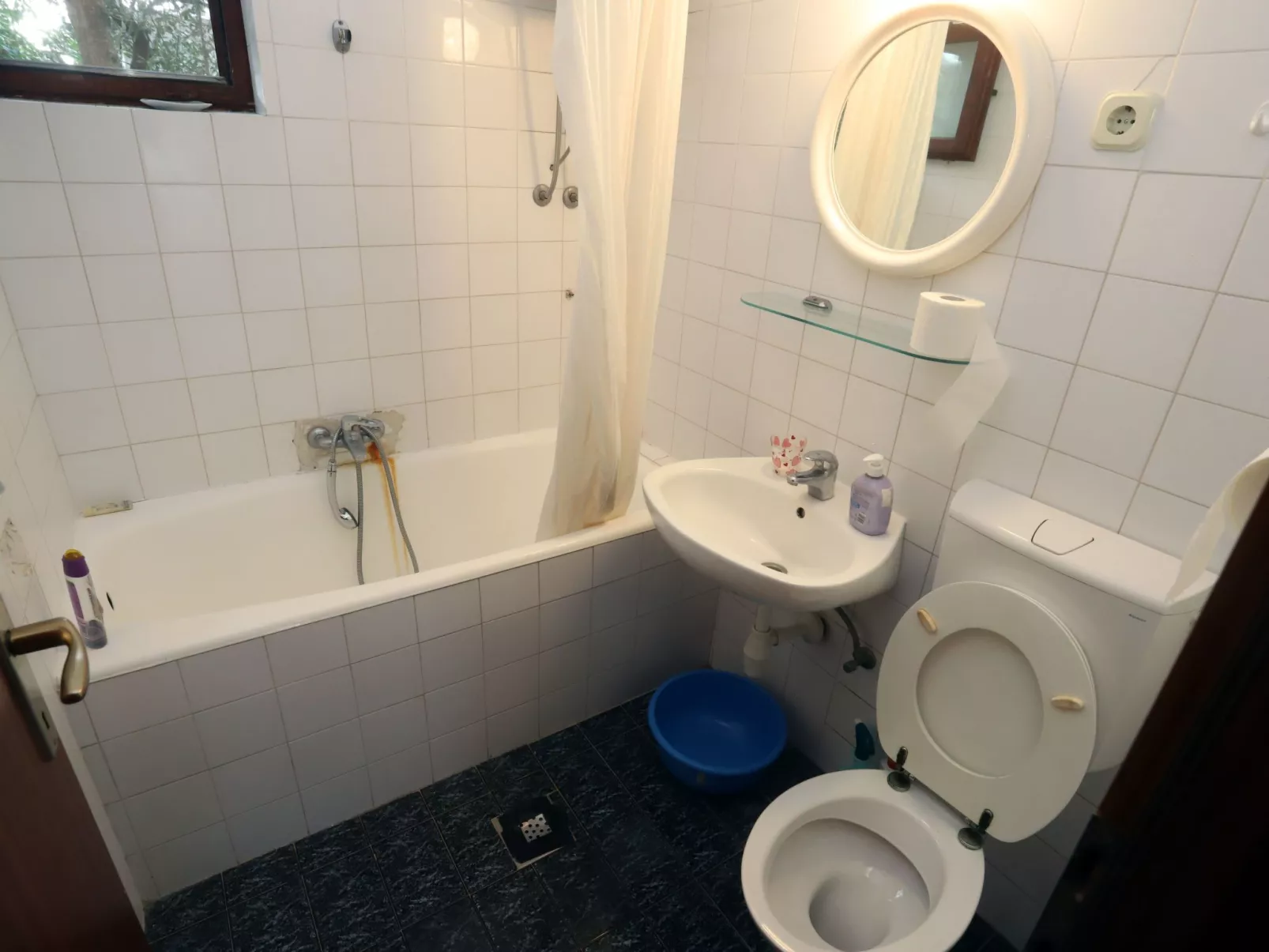 Dalmatien-Image-tags.info