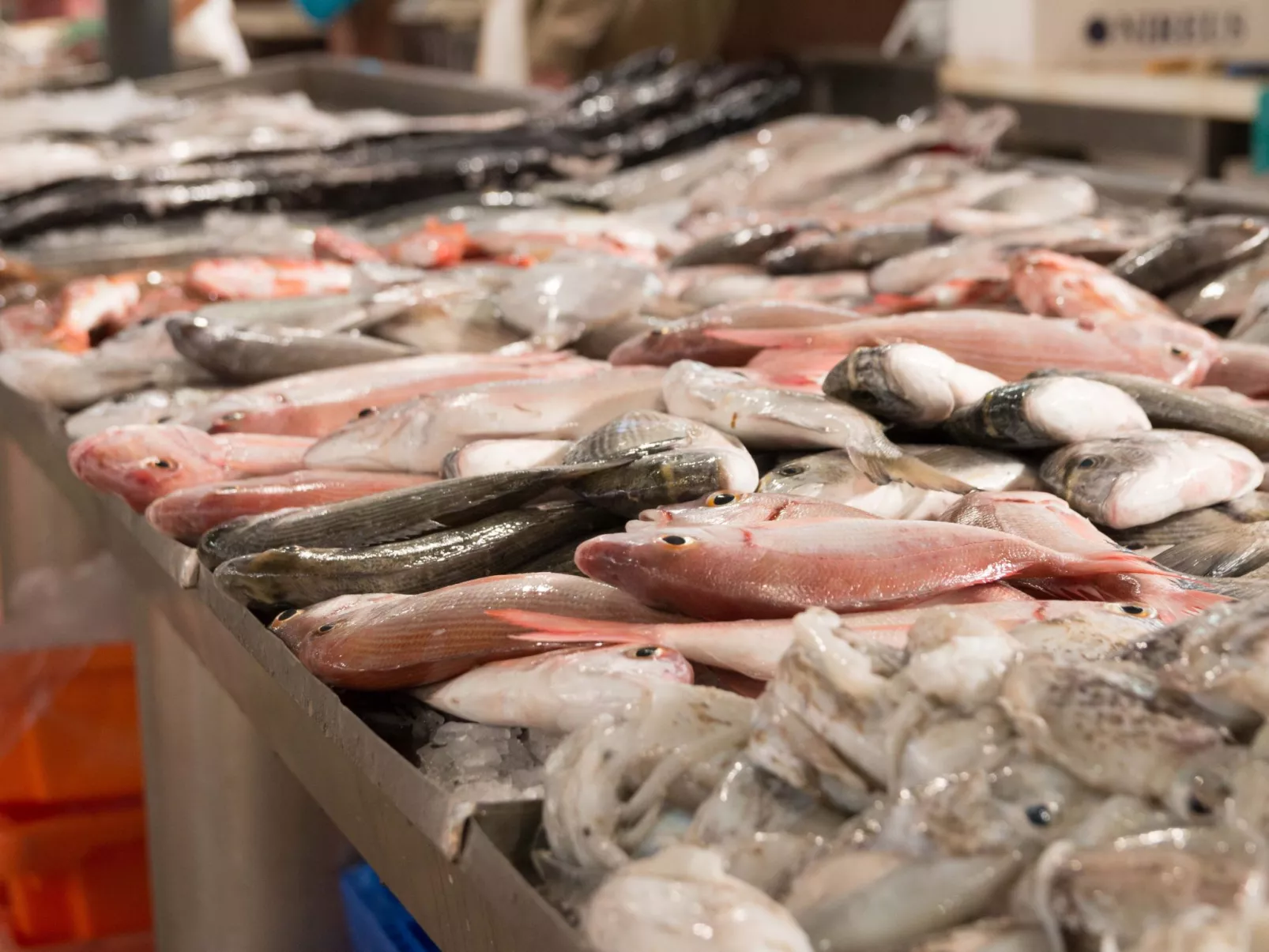 Berghütte "Villa Romao"-Image-tags.info