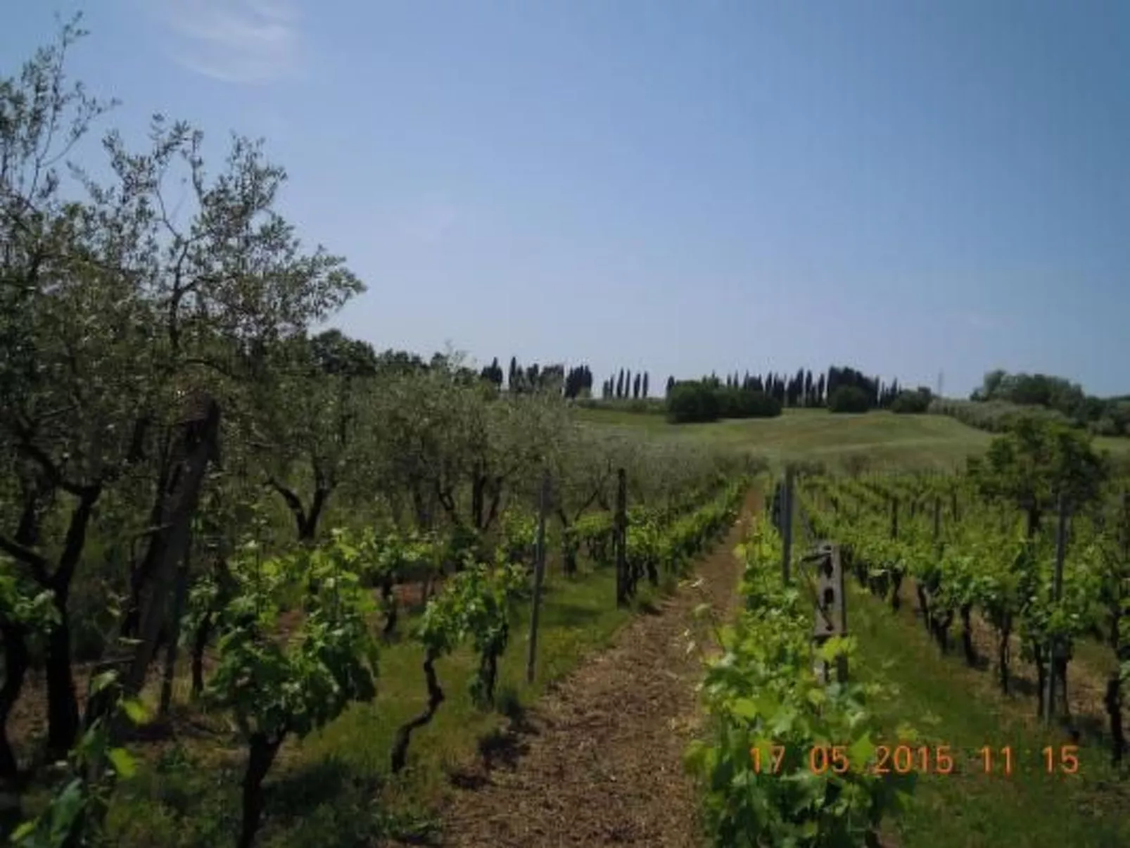 Wohnung 'La Colombaia' mit Terrasse-Buiten