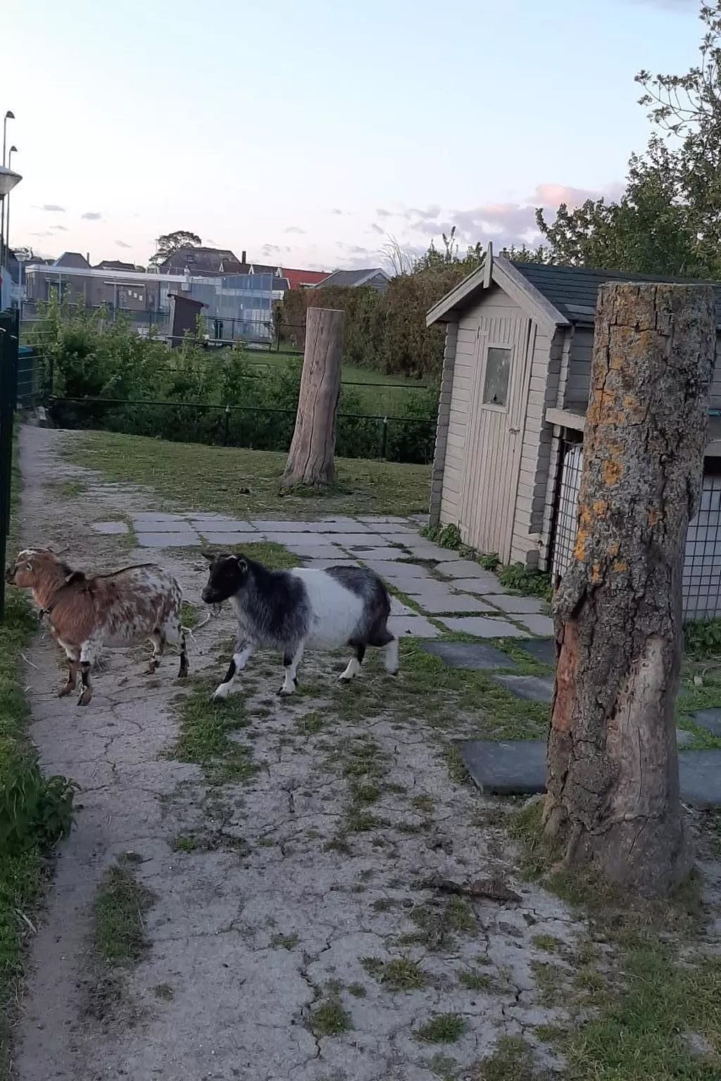 Gemütliches Ferienhaus-Buiten