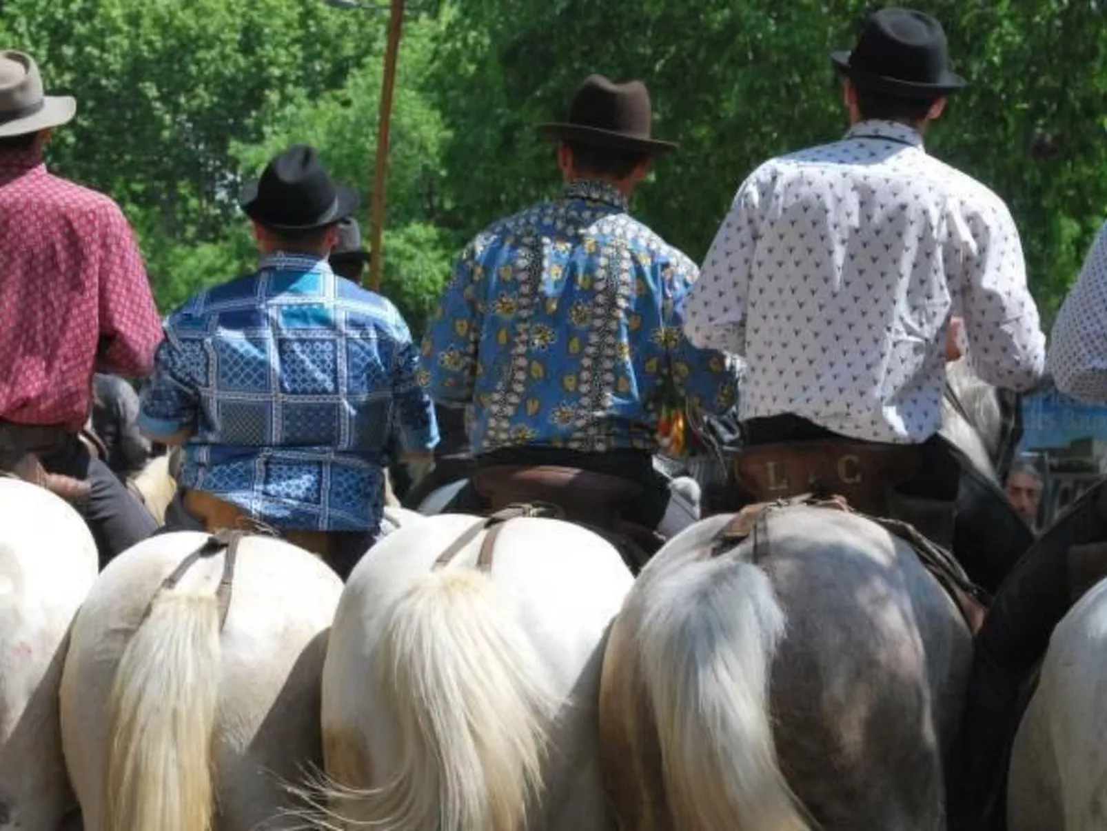 Luma-Haus in Arles-Image-tags.info