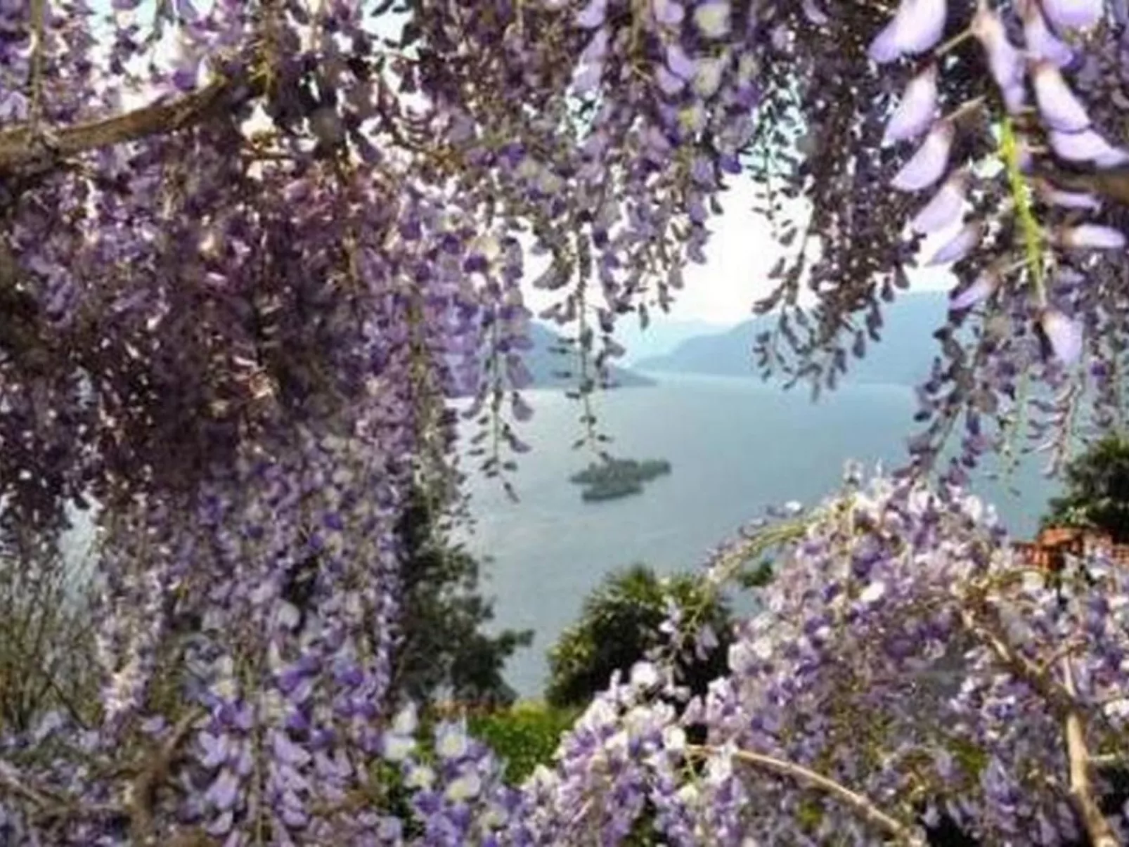 Villa Cresta Bianca-Buiten