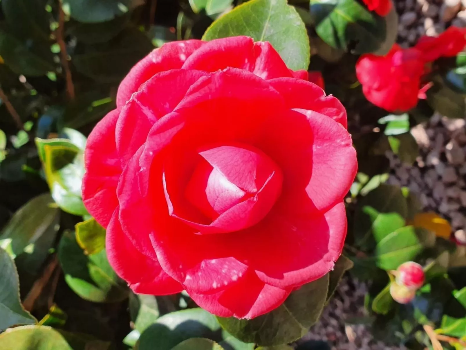 Casa delle Vigne-Buiten