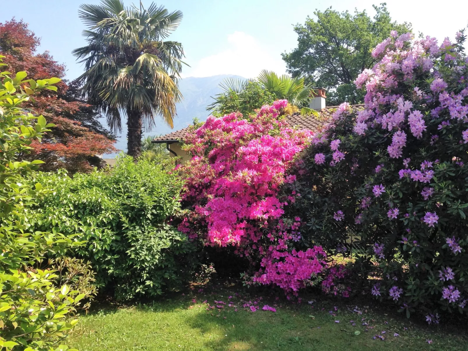 Casa Cristina-Buiten