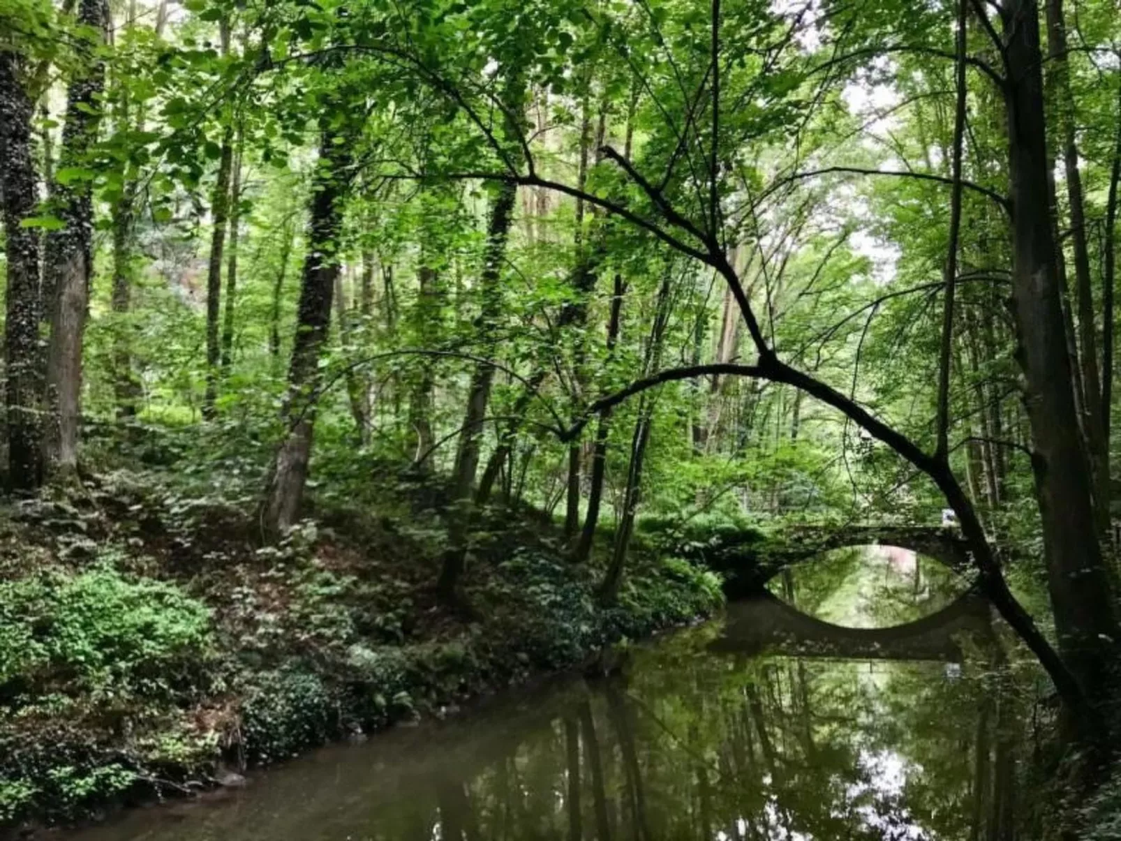 Fewo Natur und Kunst-Buiten