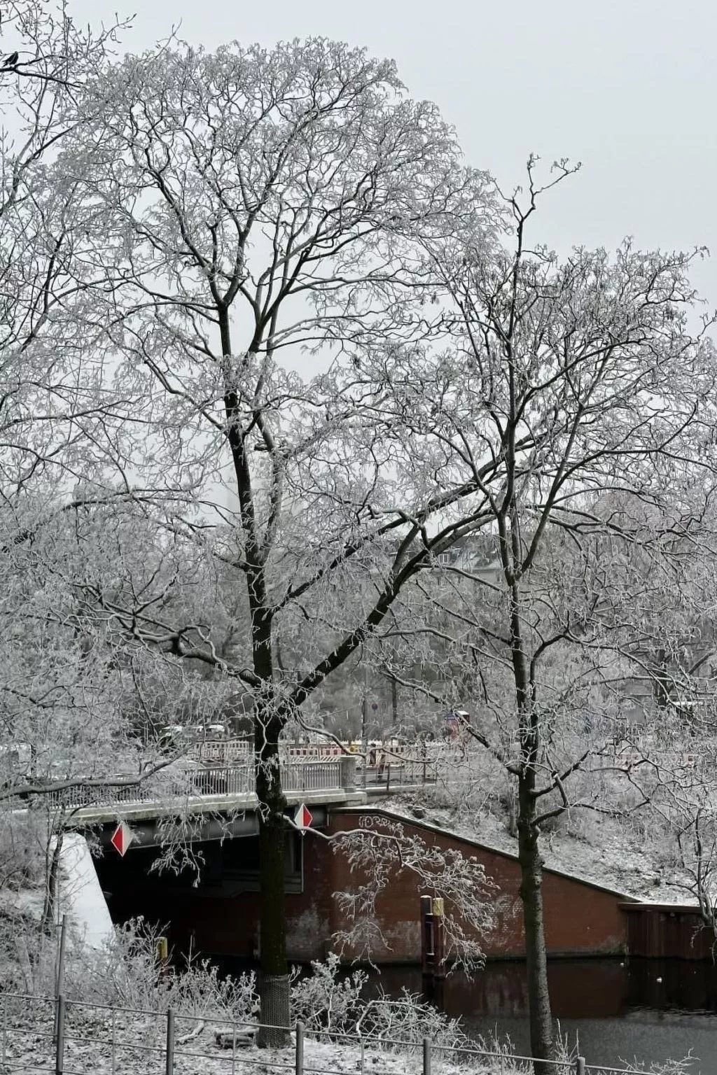 Altbauwohnung in Berlin - Buiten