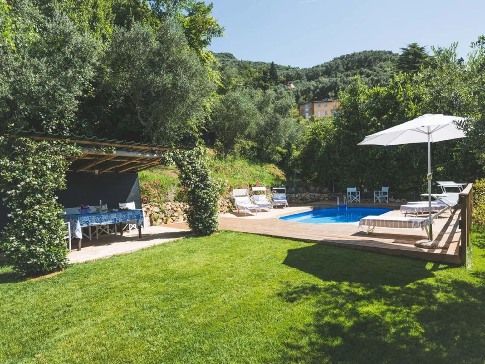 Donagrande-Image-tags.info