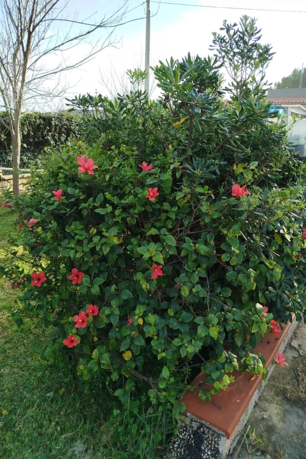 'Villetta mare' mit Blick aufs Wasser-Buiten