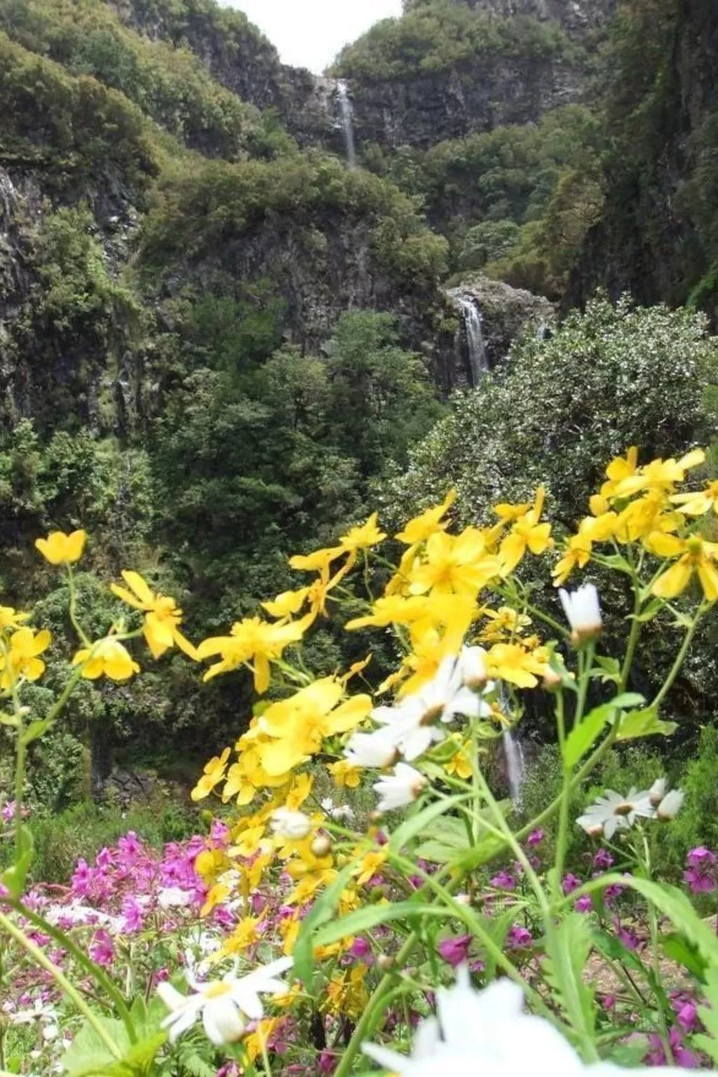 Seaview Refugium 633-Image-tags.info